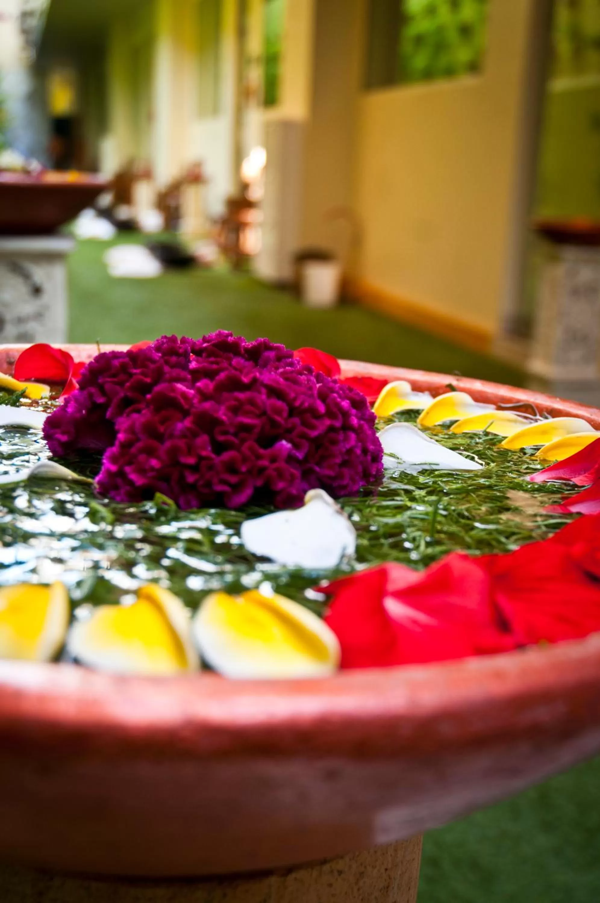 Other in Febri's Hotel & Spa