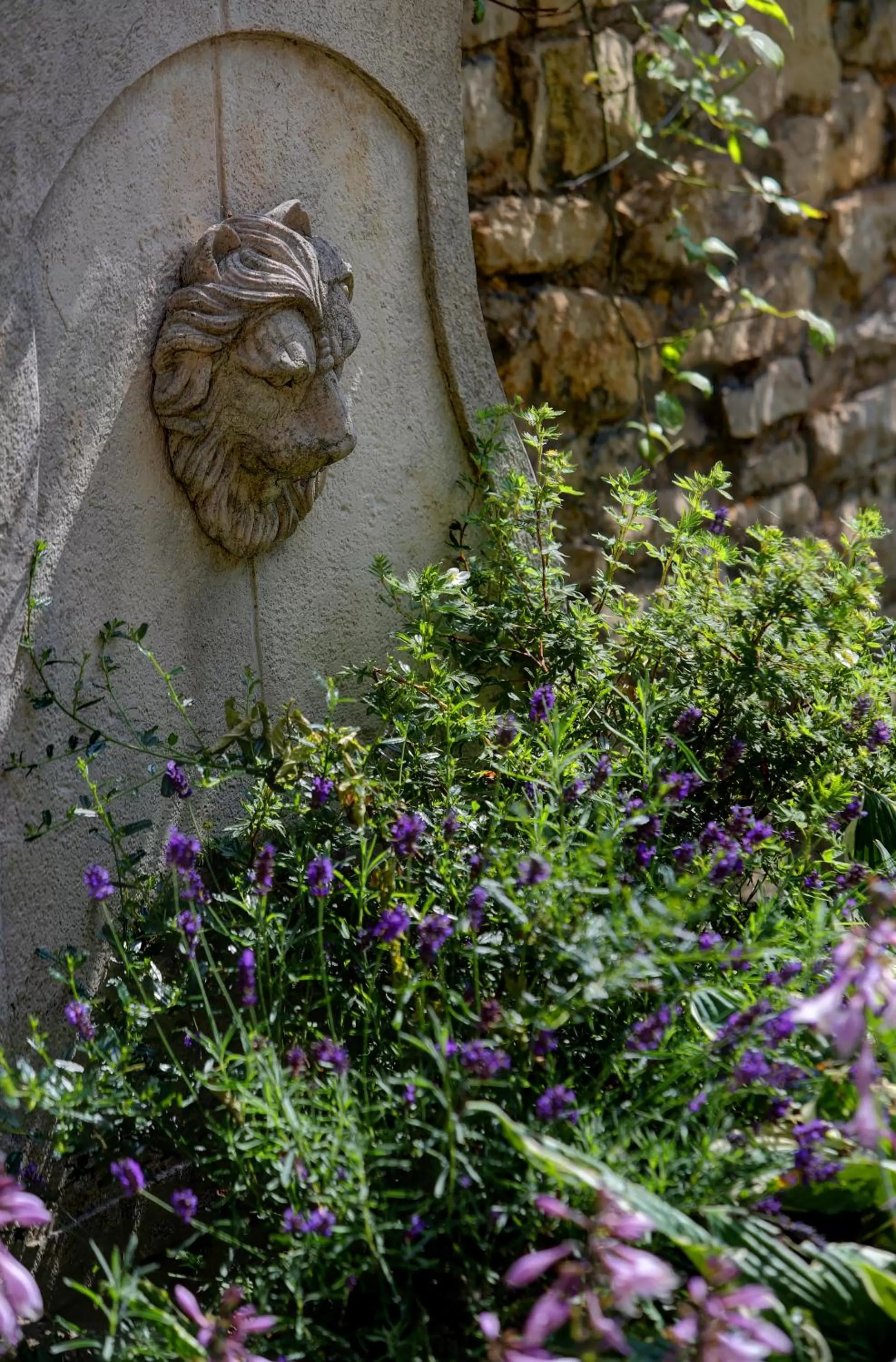 Garden in Best Western Forest and Vale Hotel