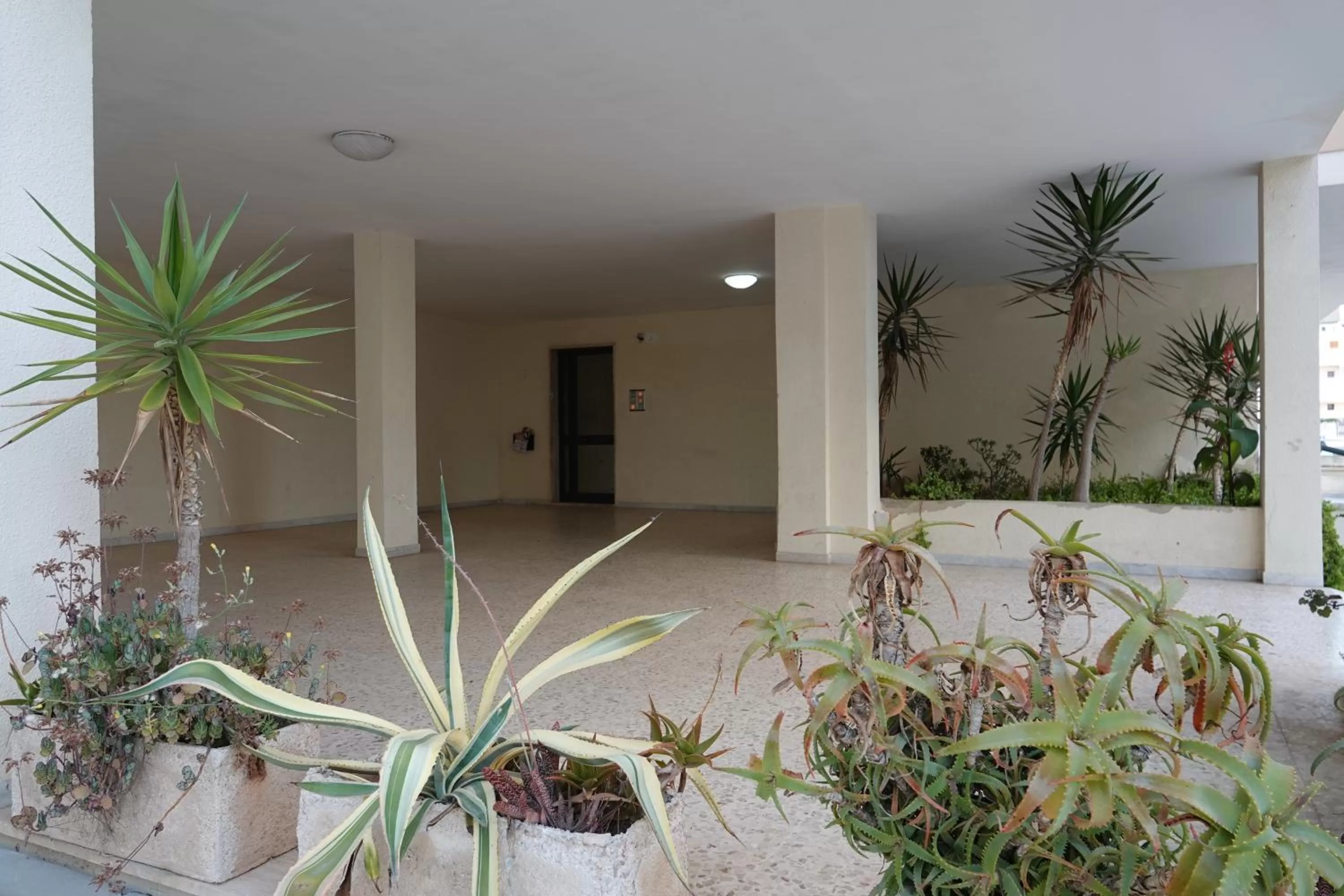 Property building in Medusa Gallipoli