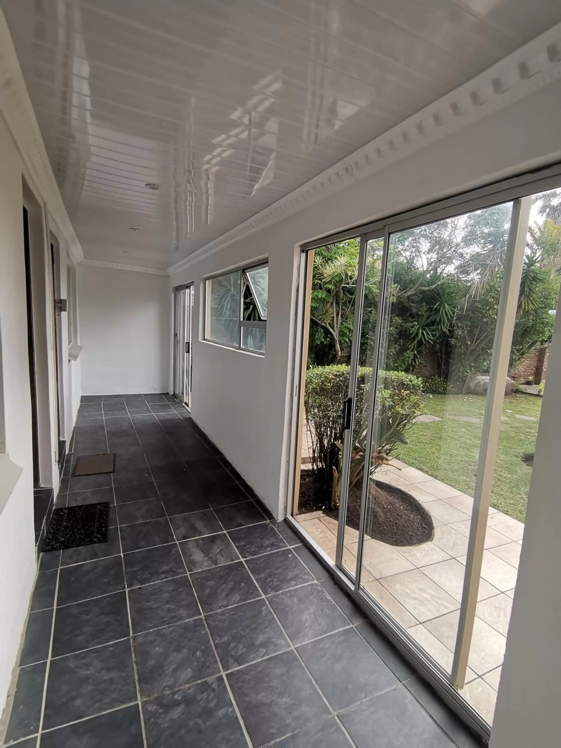 Garden view in Palm Tree BnB