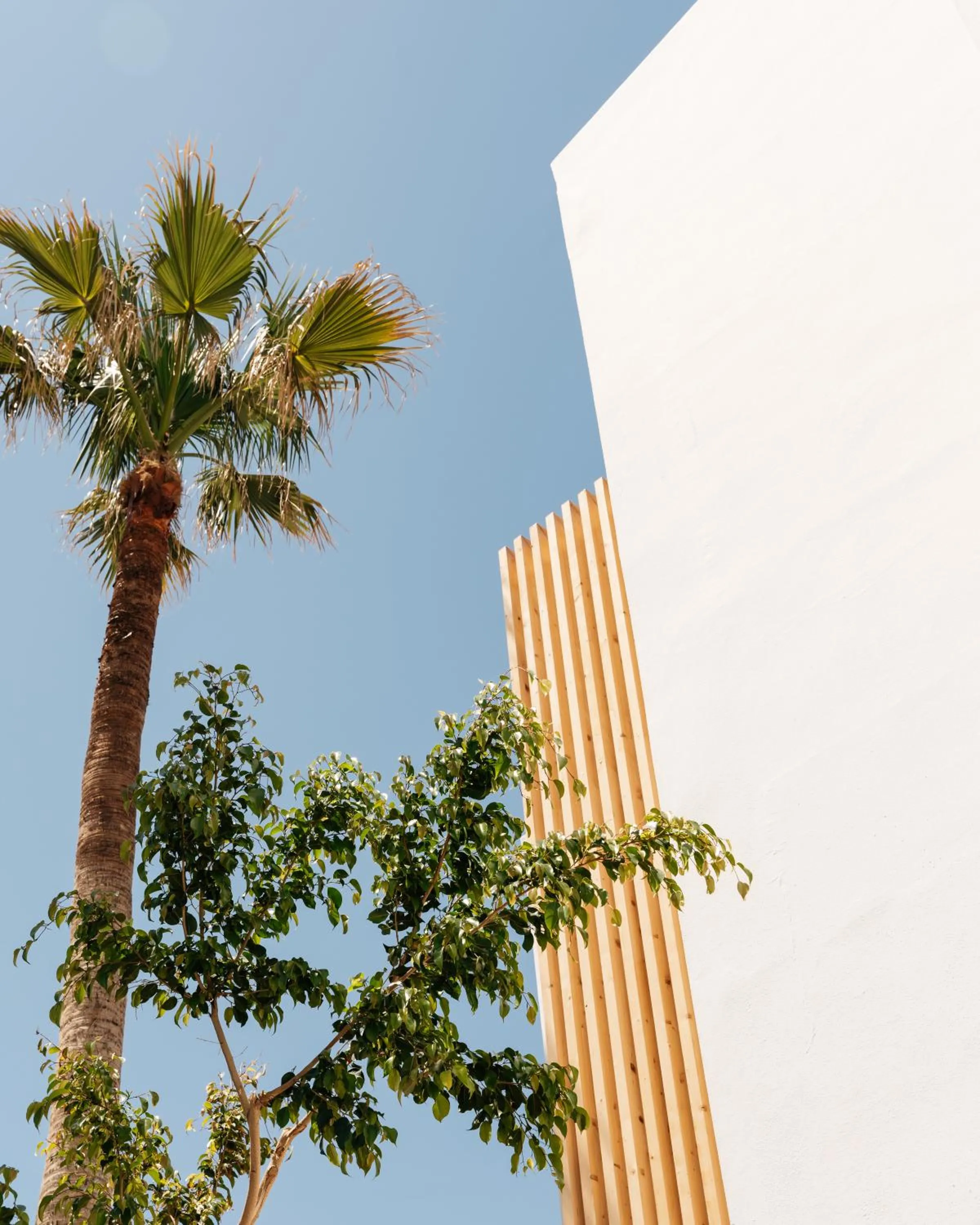 Day in Petradi Beach Lounge Hotel