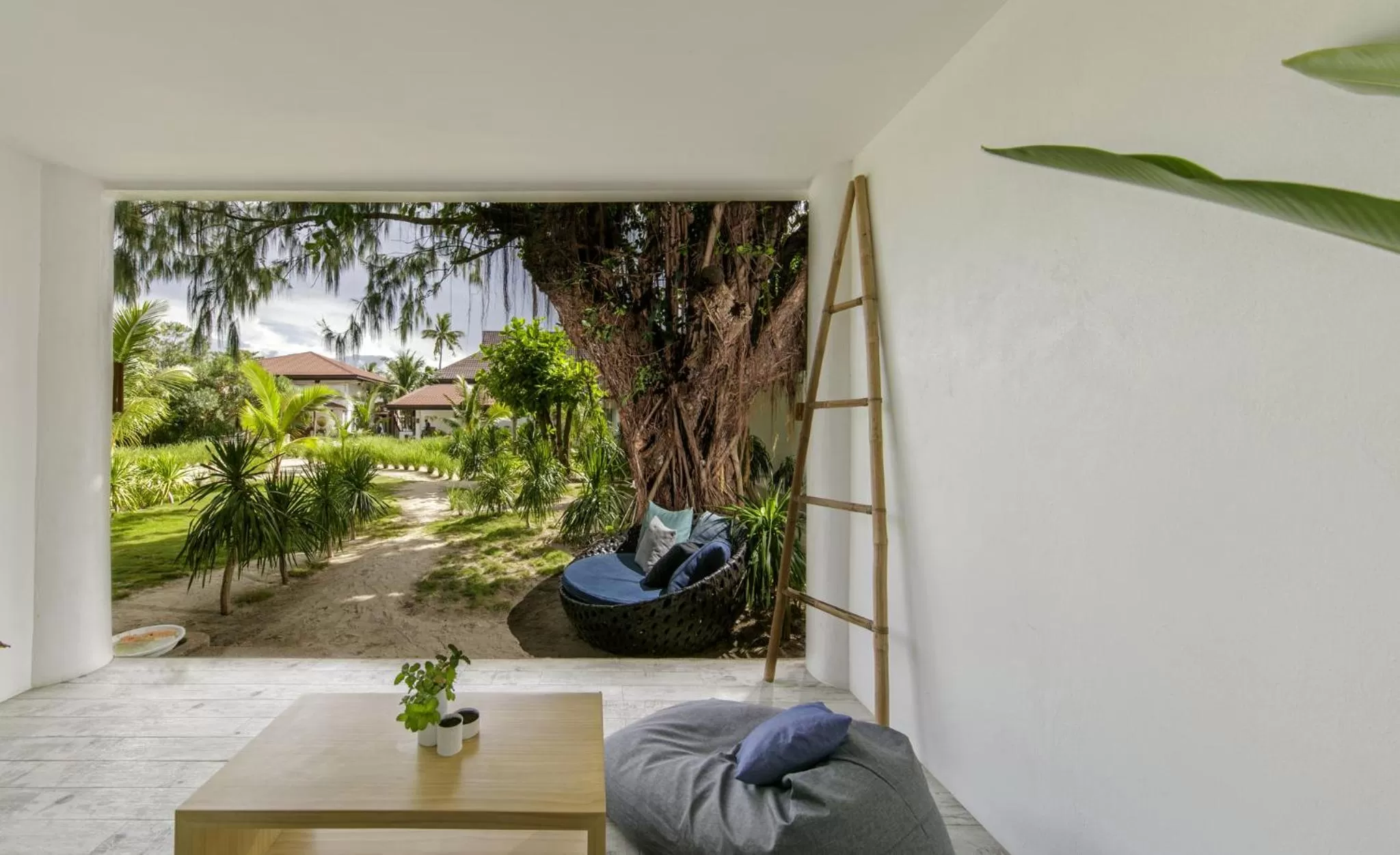 View (from property/room) in Ocean Vida Beach and Dive Resort