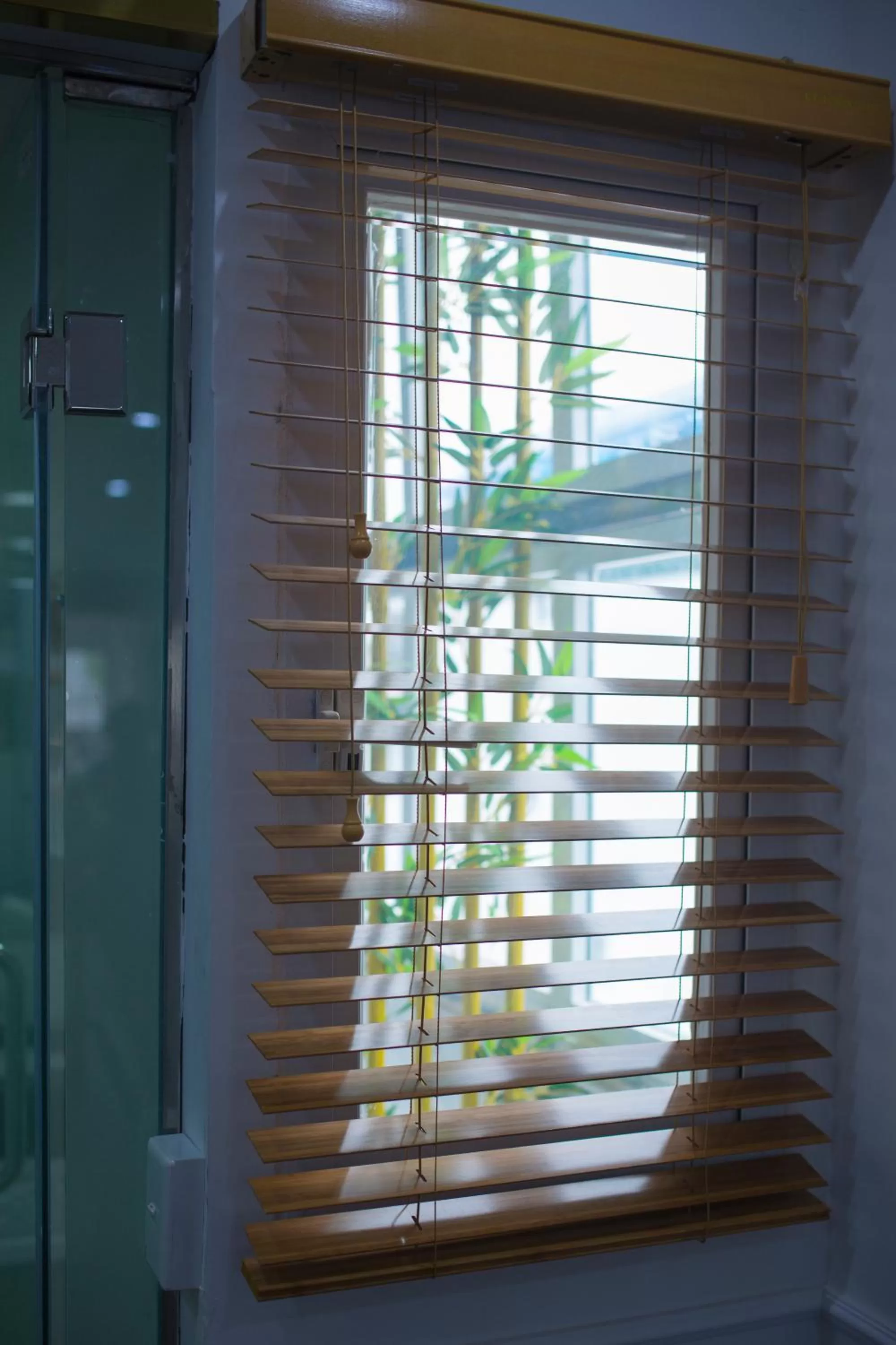 Garden in Antique Angel Hotel