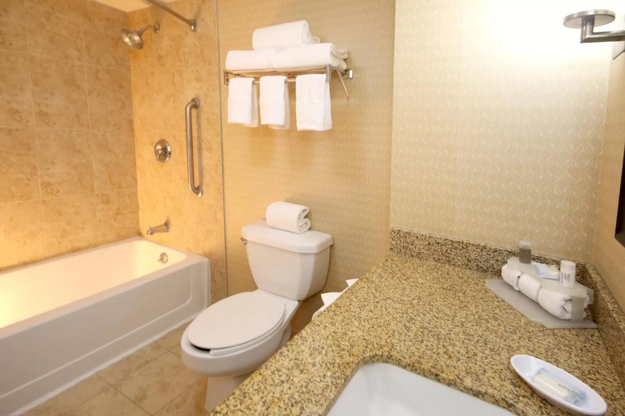 Bathroom in Holiday Inn Express Hotel & Suites CD. Juarez - Las Misiones by IHG
