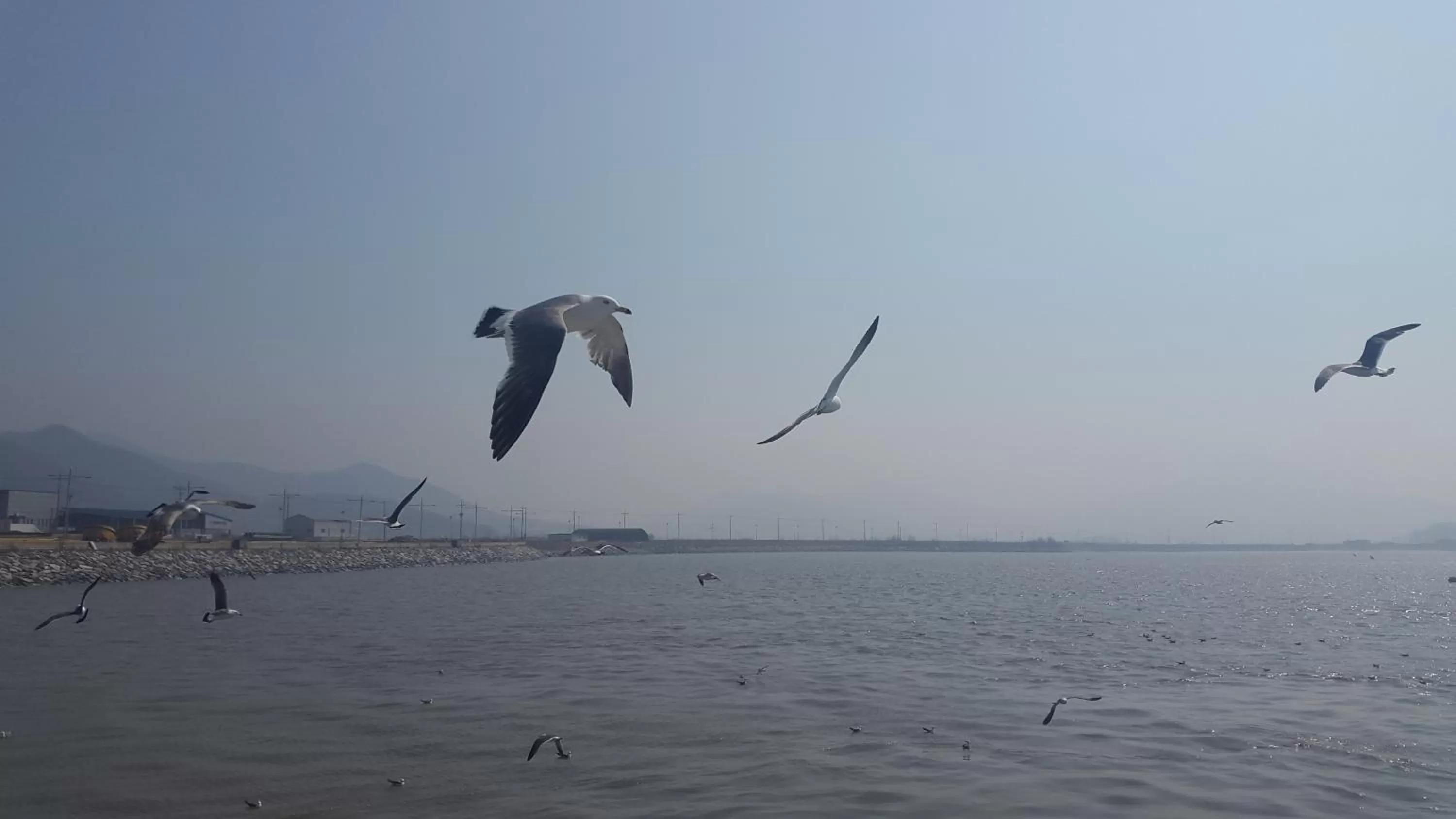 Saipan Motel with Sea View