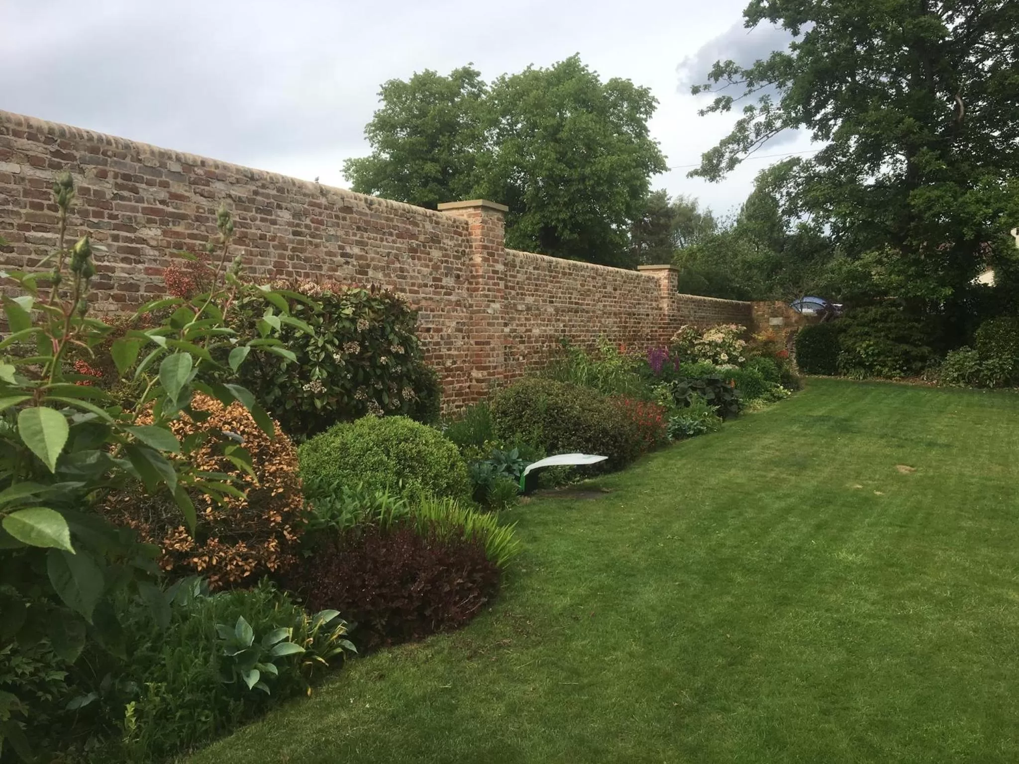 Garden in B&B Harlington Manor