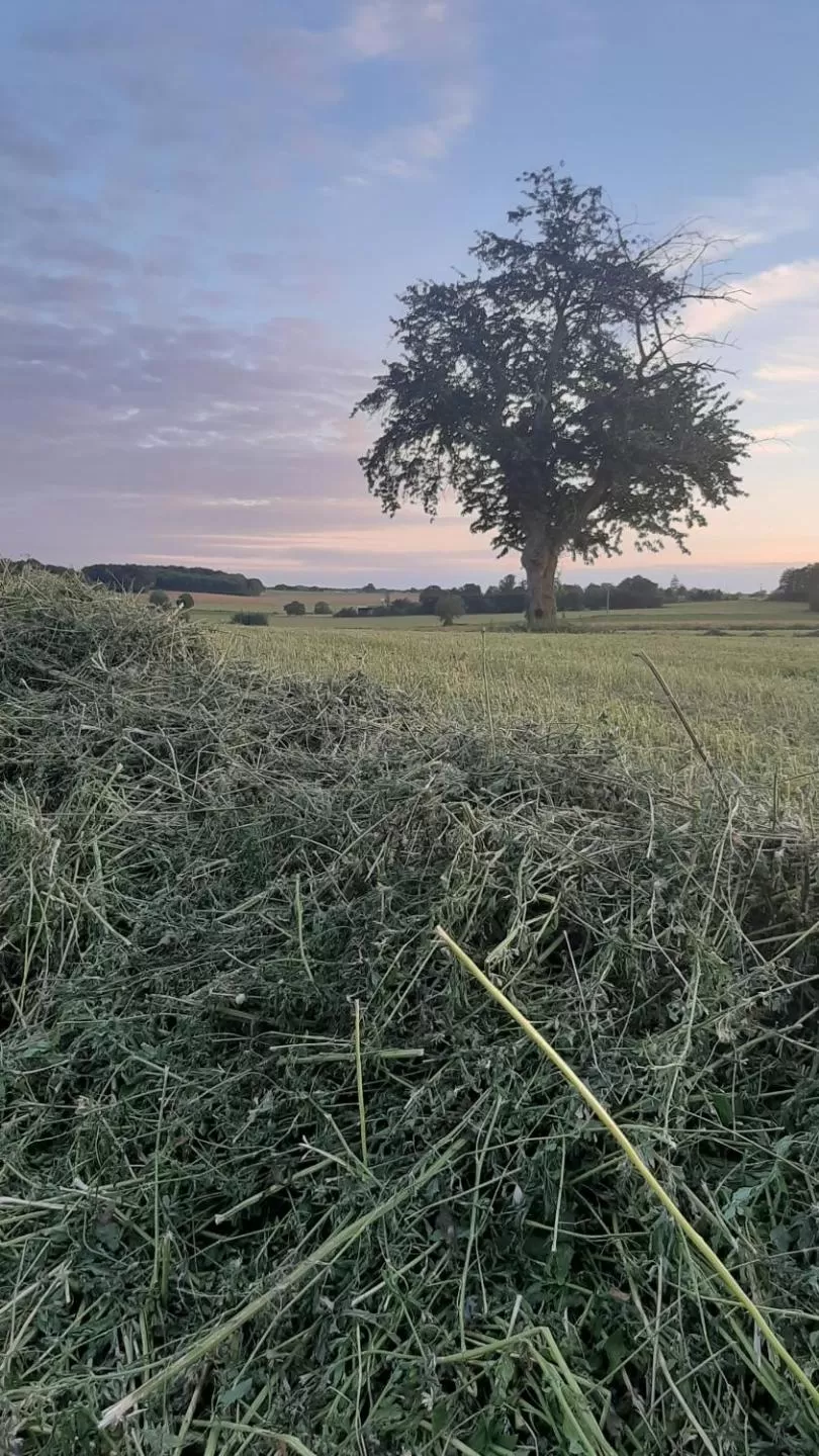 Garden in La BerryCurienne proche du Zoo de Beauval Saint-Aignan avec SDB, WC ET SPA PRIVATIF pour chaque chambre