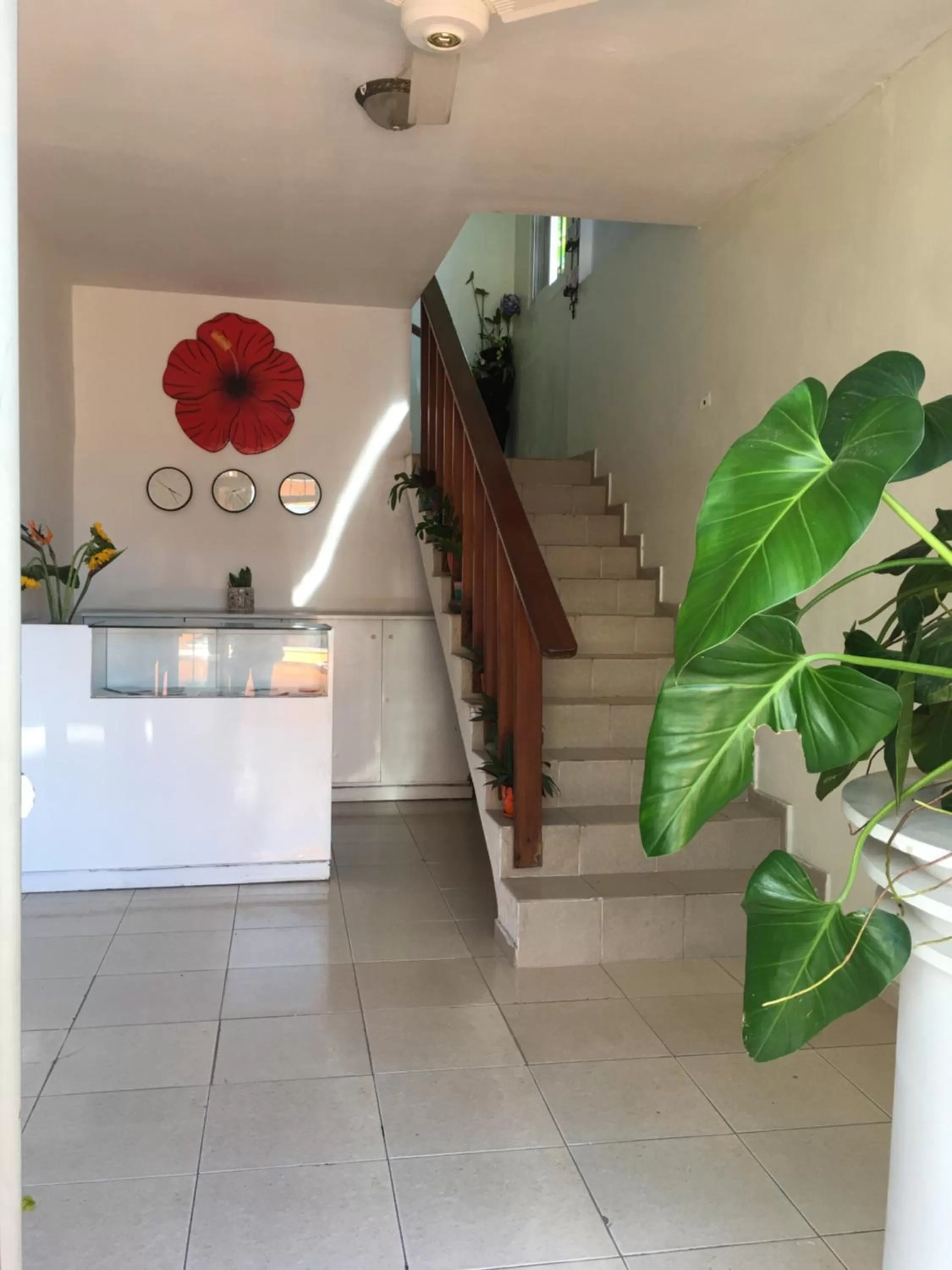 Lobby or reception, Lobby/Reception in Hotel Boutique Simona