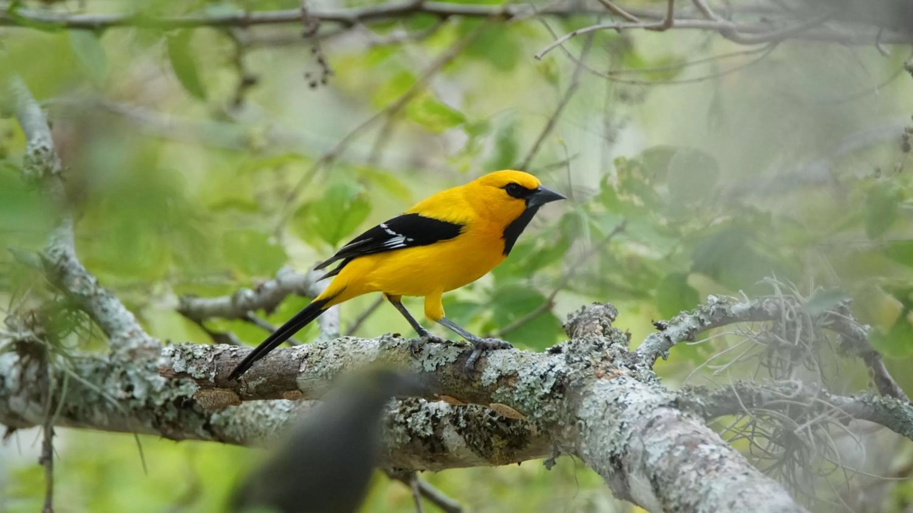 Bird's eye view in El Paraiso - B&B Finca San Vicente