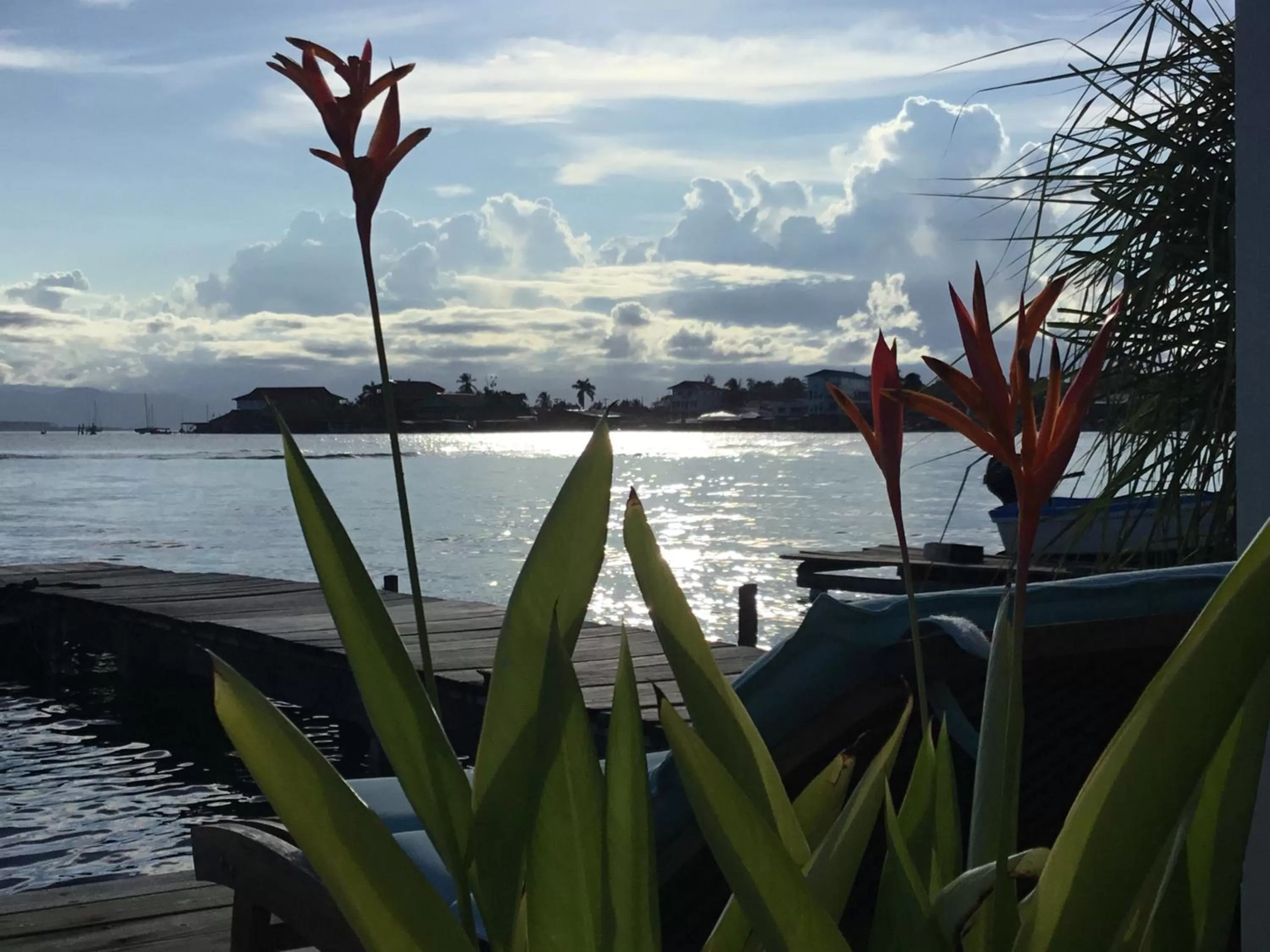 Time of day in RIVA B&B