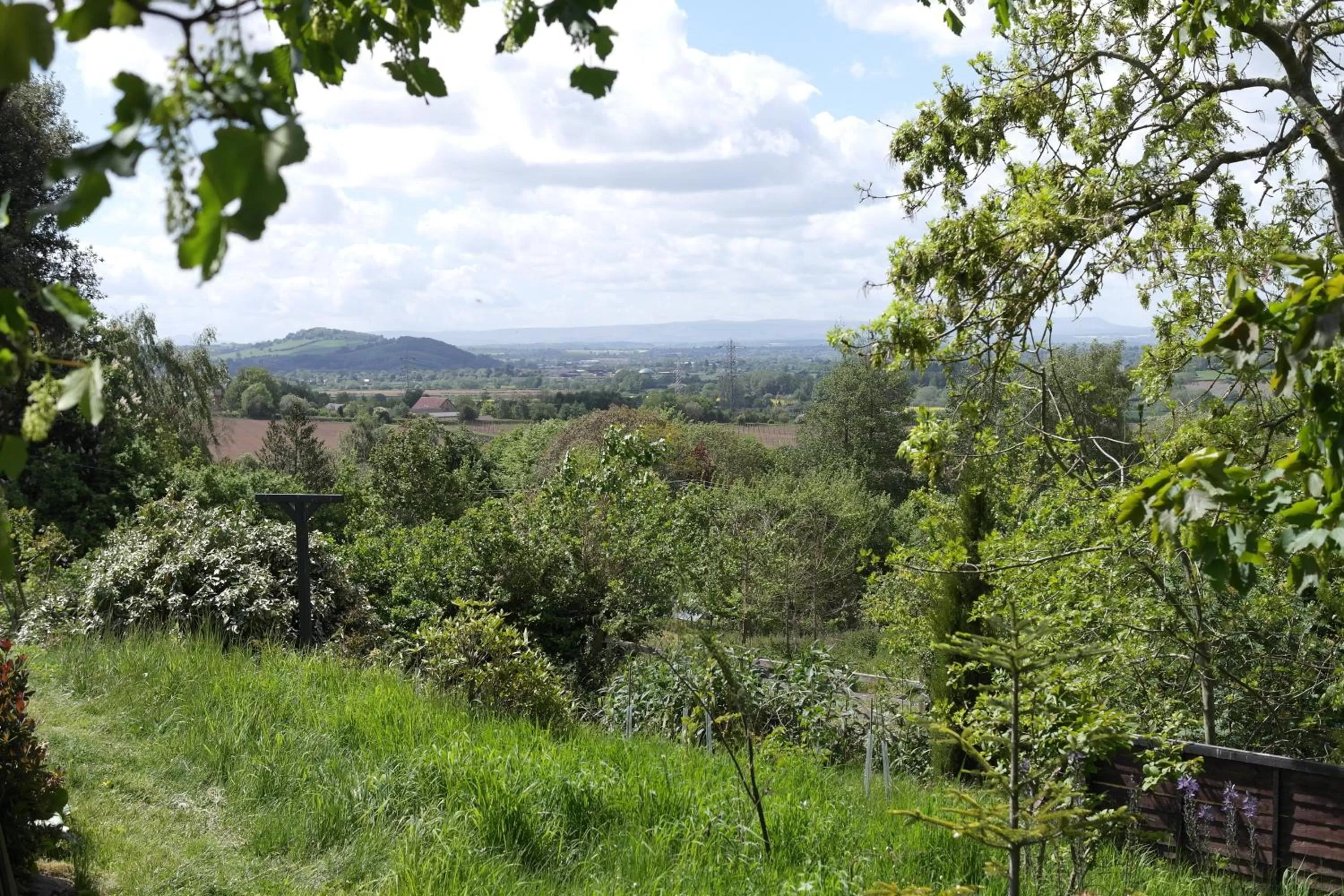 Natural landscape in Prospect BARN