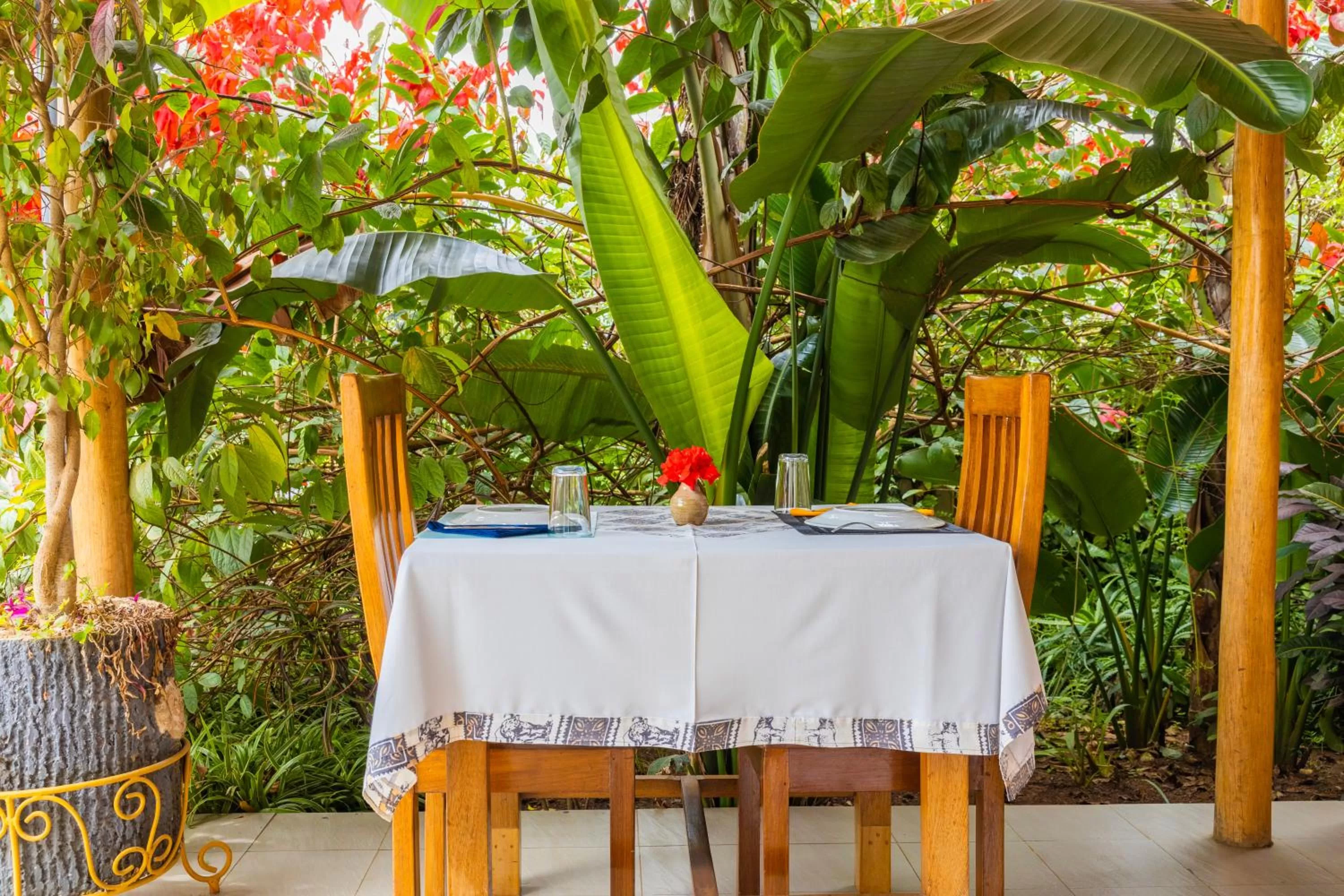 Restaurant/places to eat in Villa Asimba