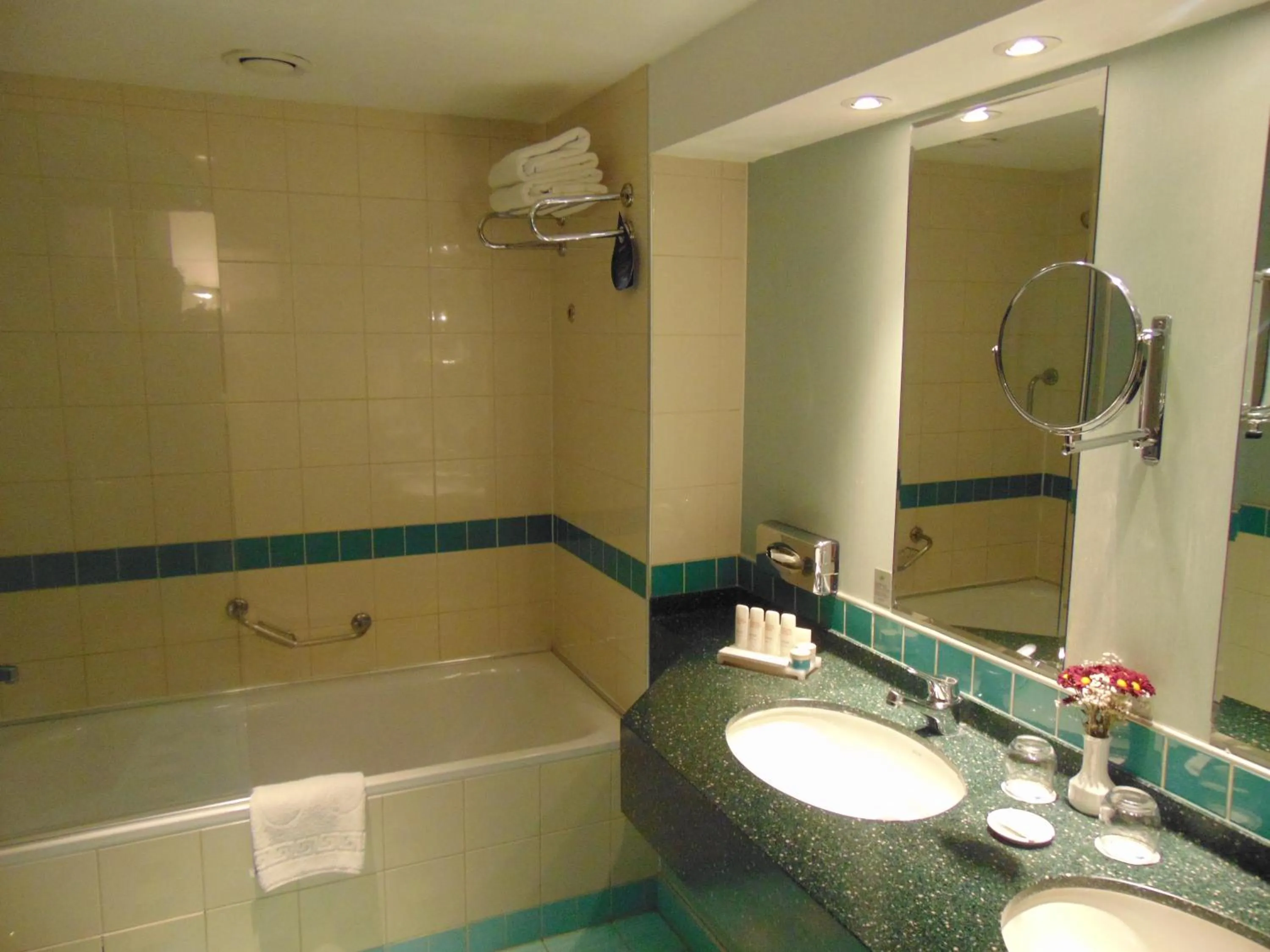 Bathroom in Radisson Blu Ankara