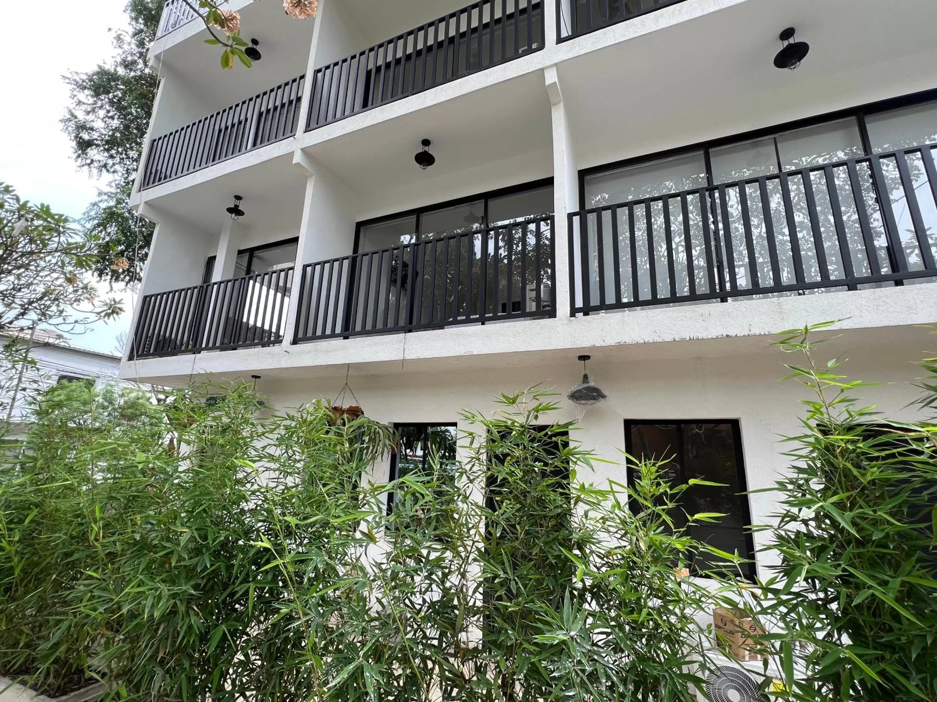 Garden view in HOTEL 9.5 SAN FERNANDO