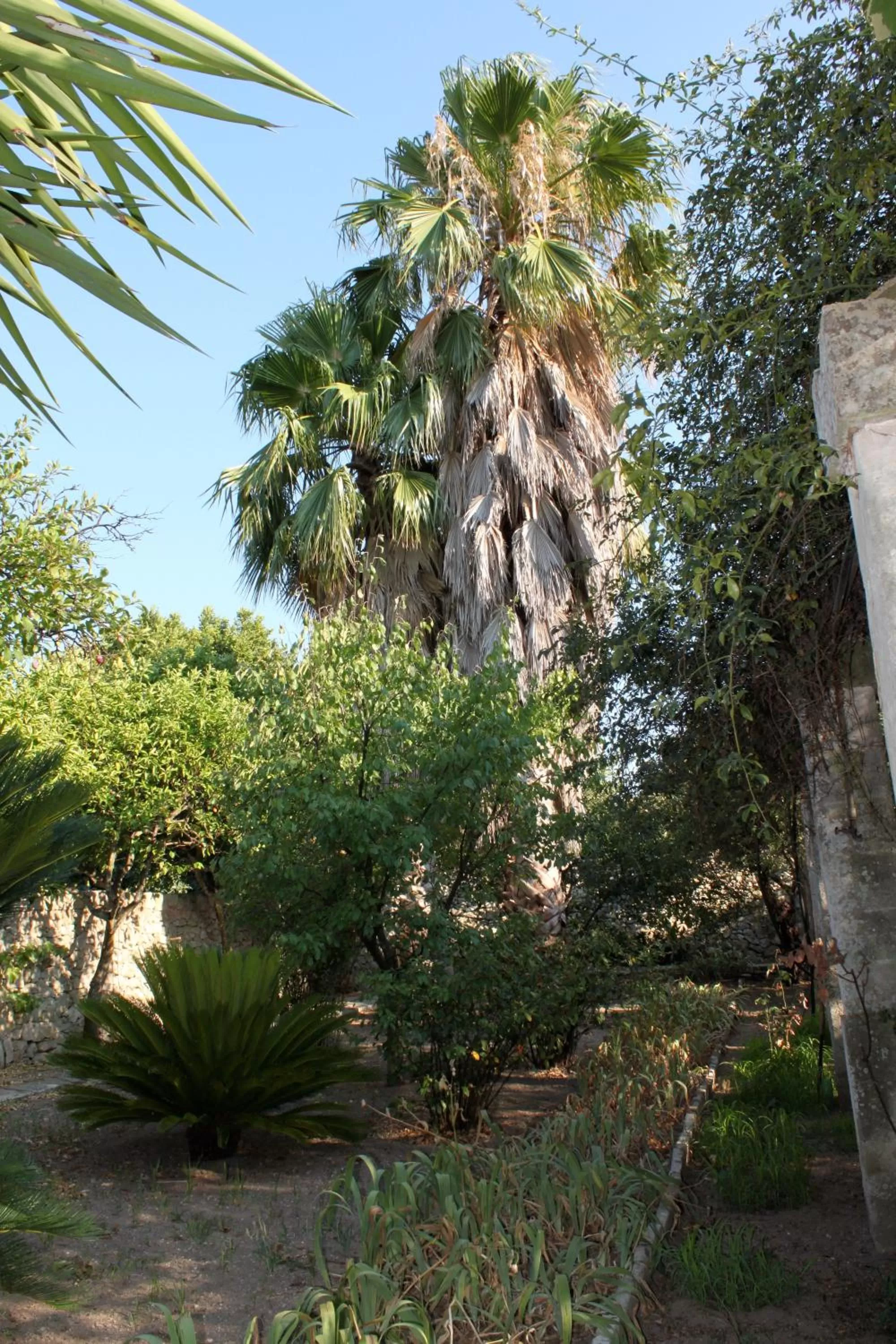 Garden in Dimora Storica ''Casa Sicuro''
