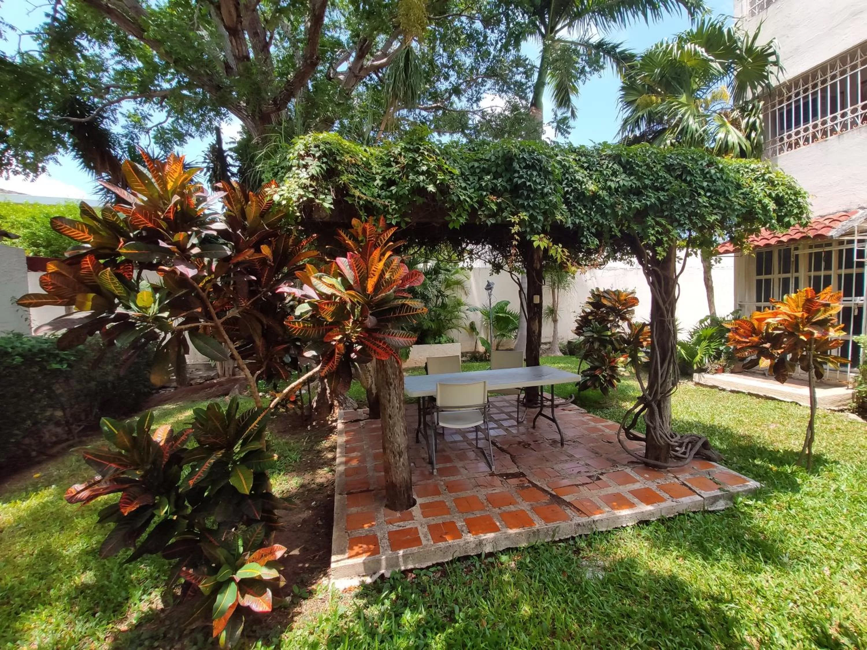 Garden view in Casa Blanca Boutique & Organic