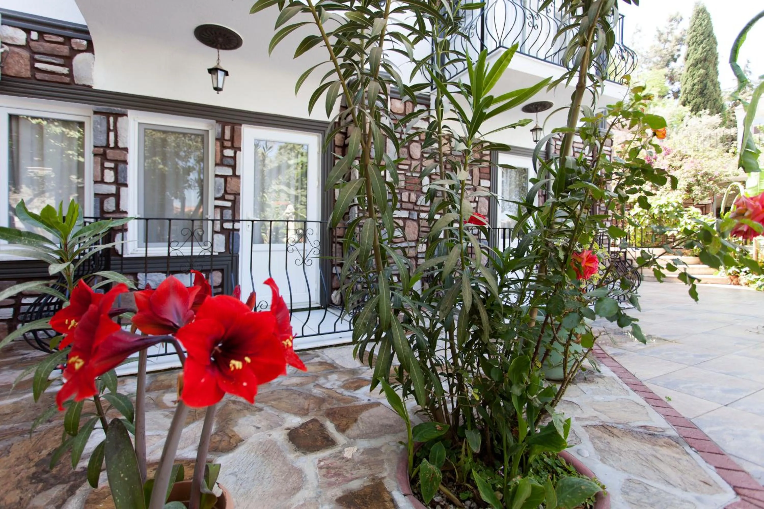 Garden in Green Peace Hotel