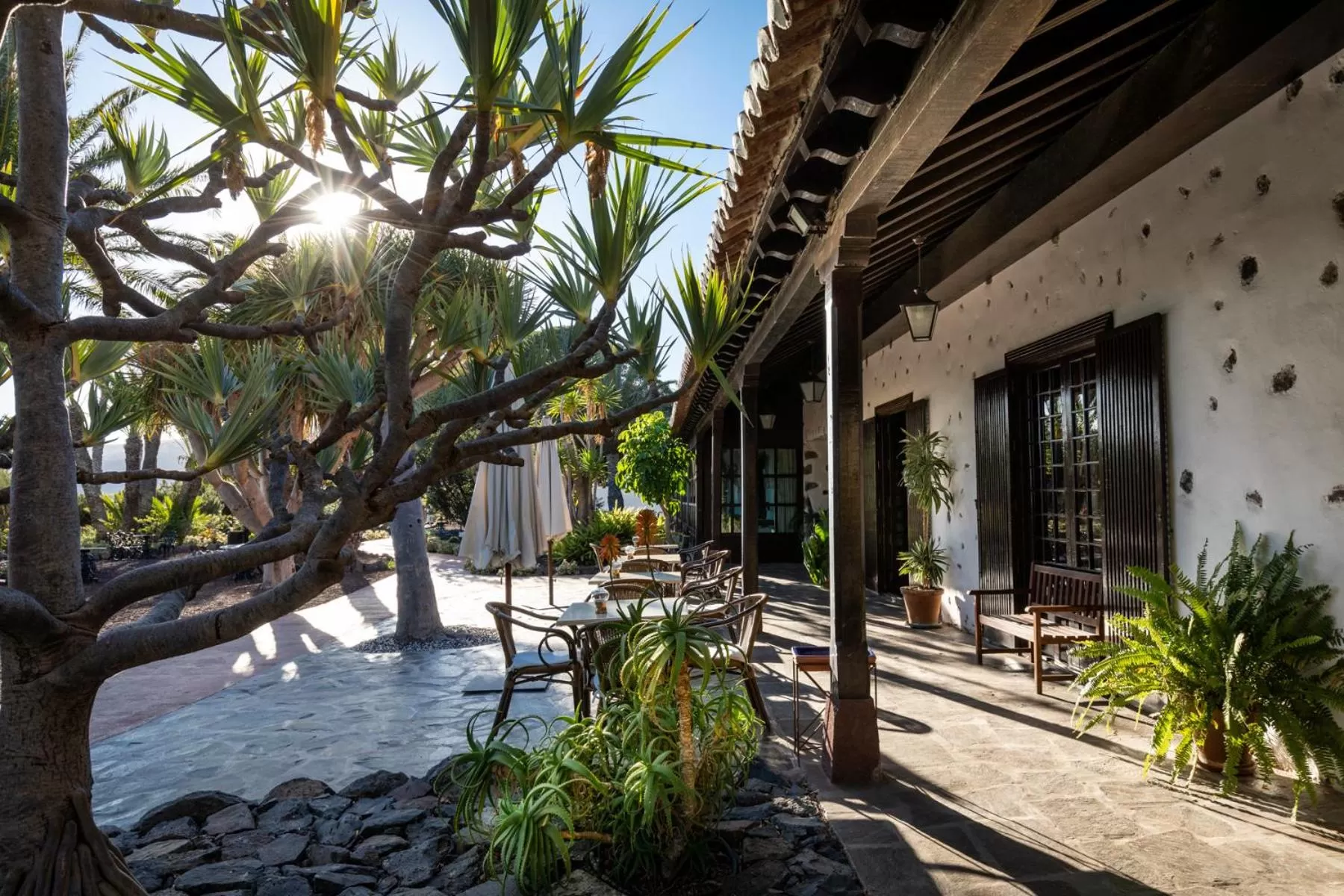 Patio in Parador de La Gomera