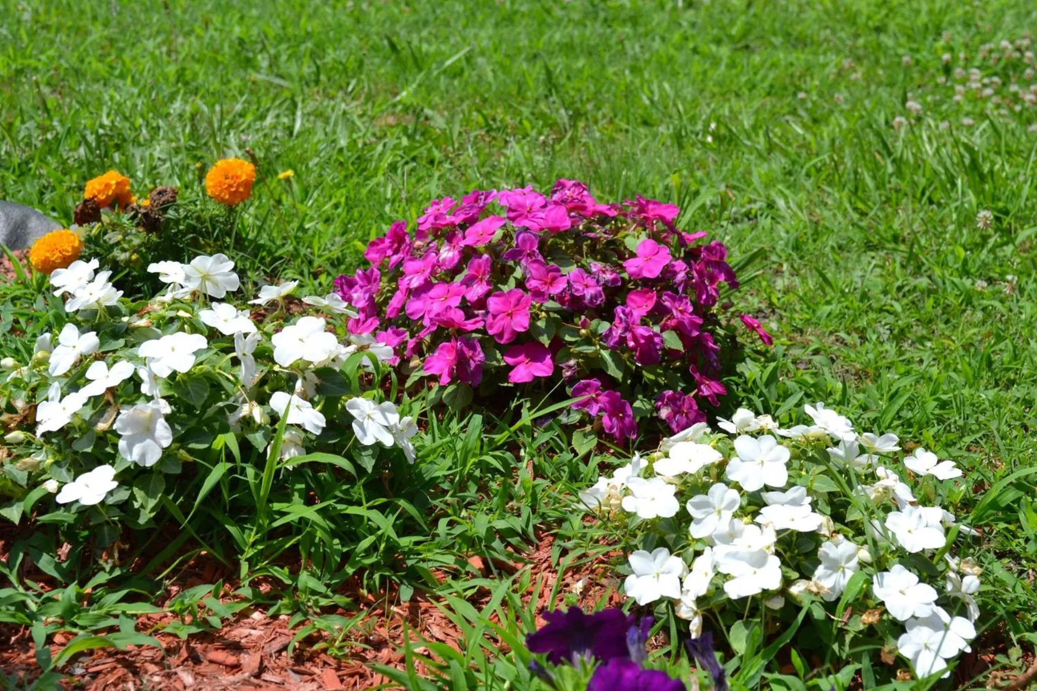 Property building in Americas Best Value Inn Smithfield