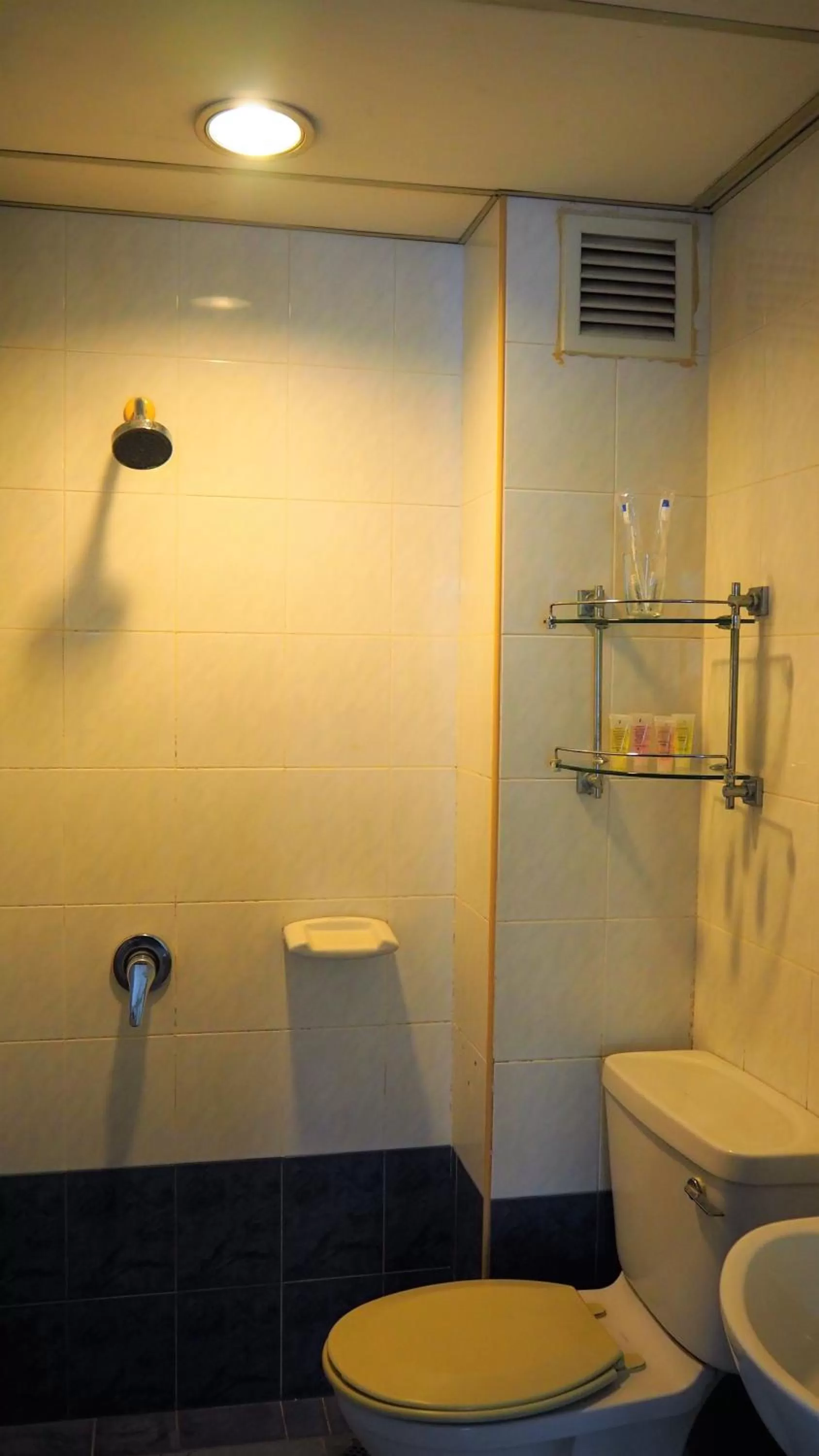 Toilet in Leo Palace Hotel Classic Wing, WTC Kuala Lumpur