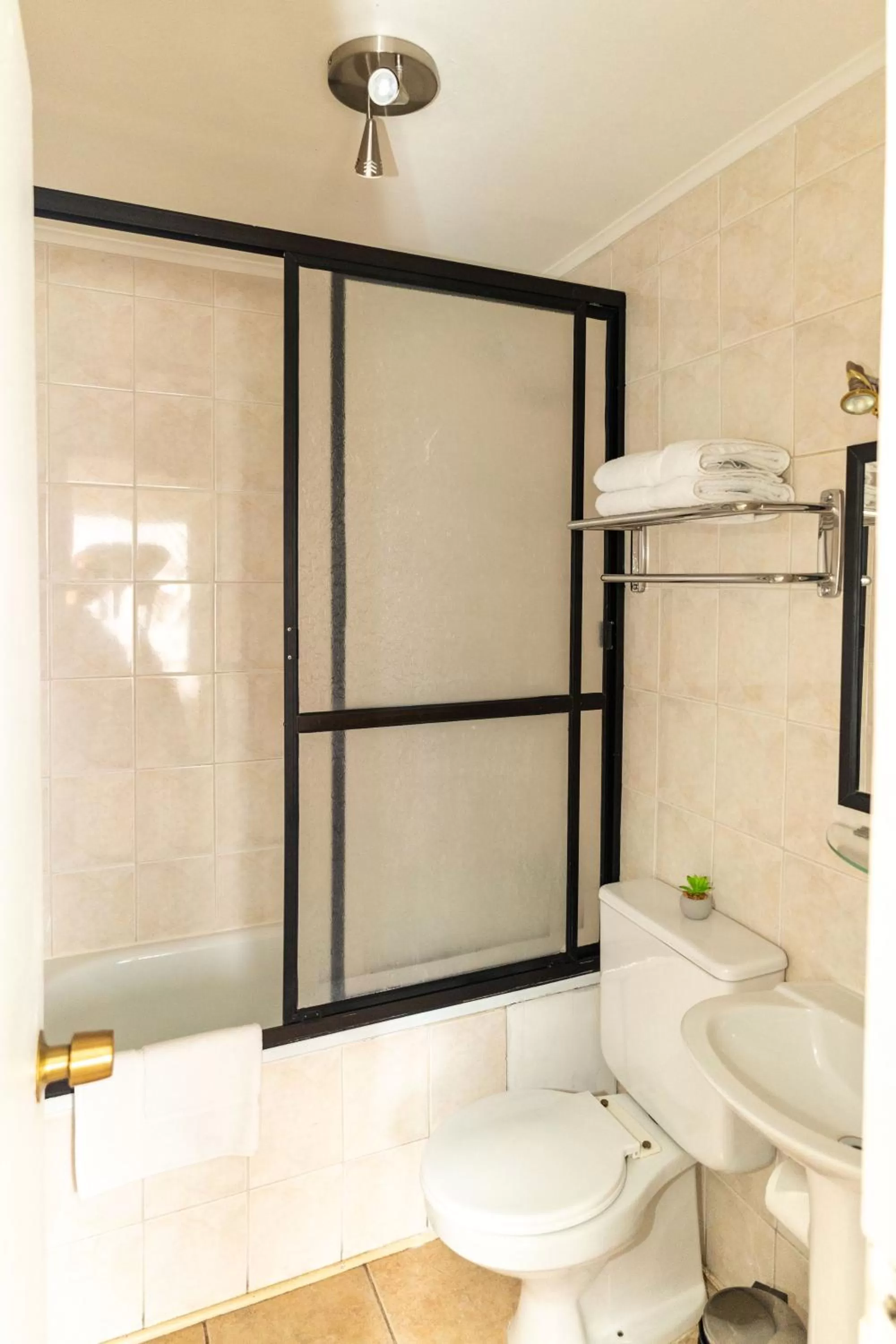 Shower, Bathroom in Darwin Hotel