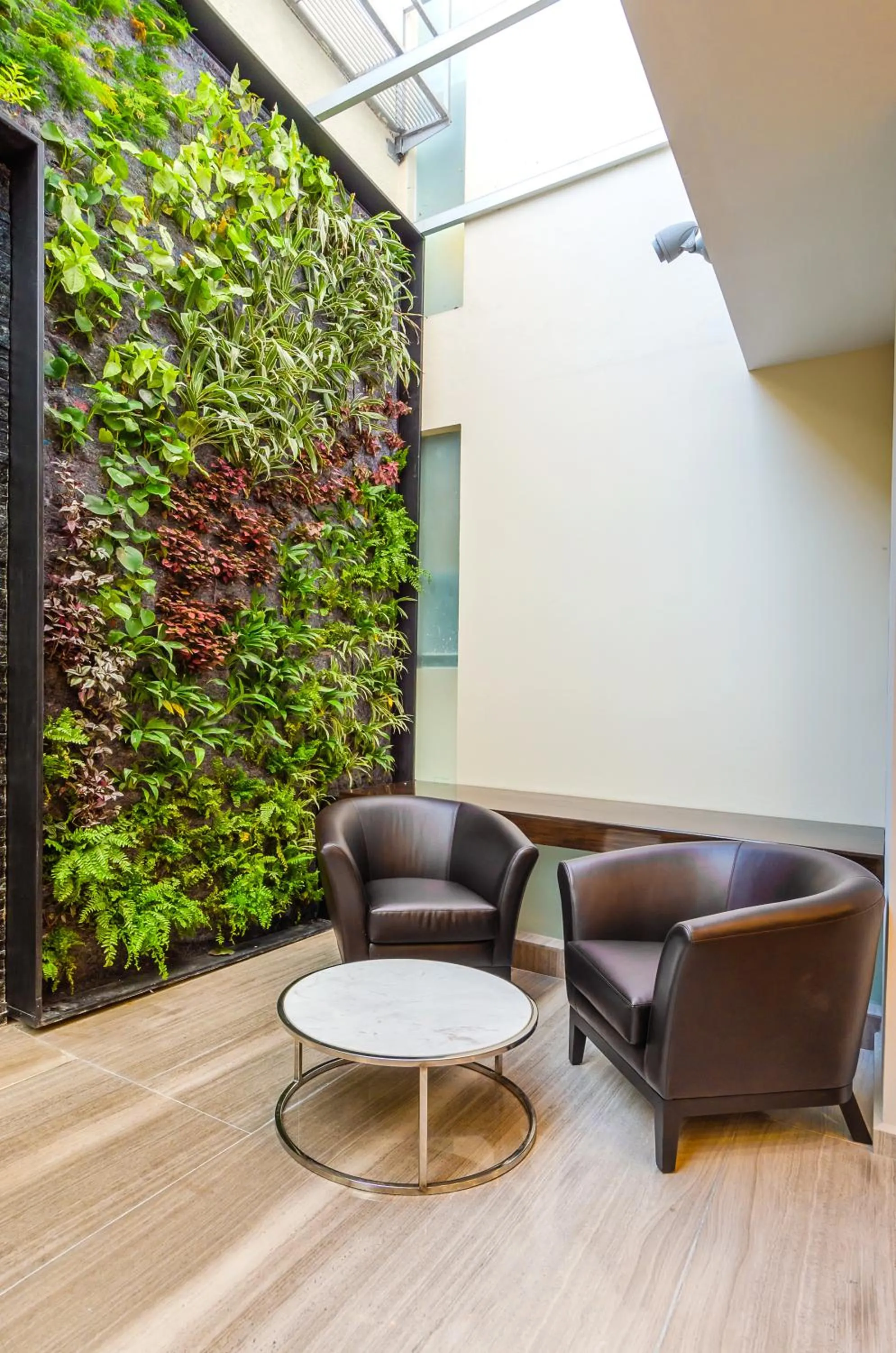 Garden in Hotel Zenith