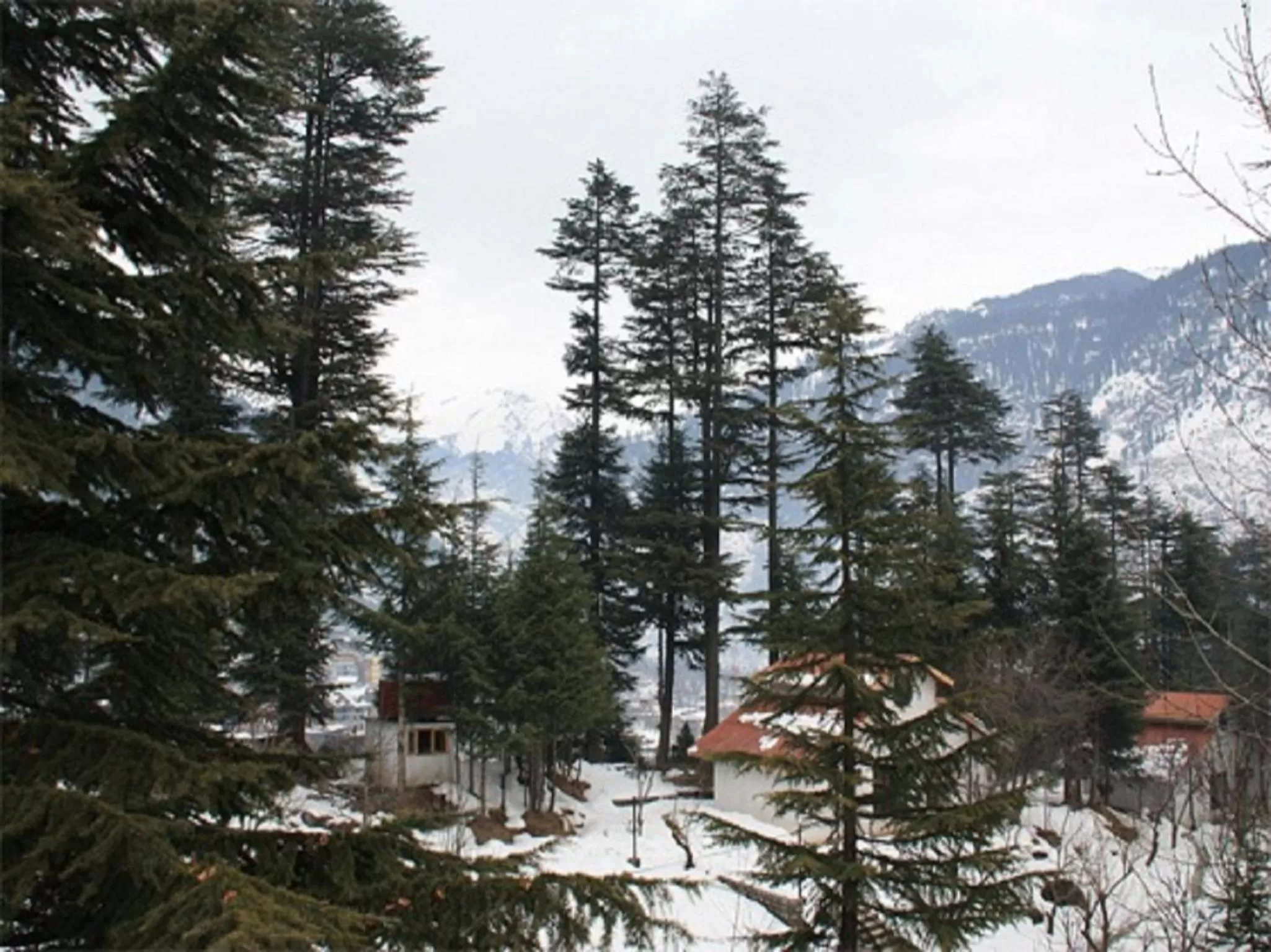 Other in Hotel Greenfields