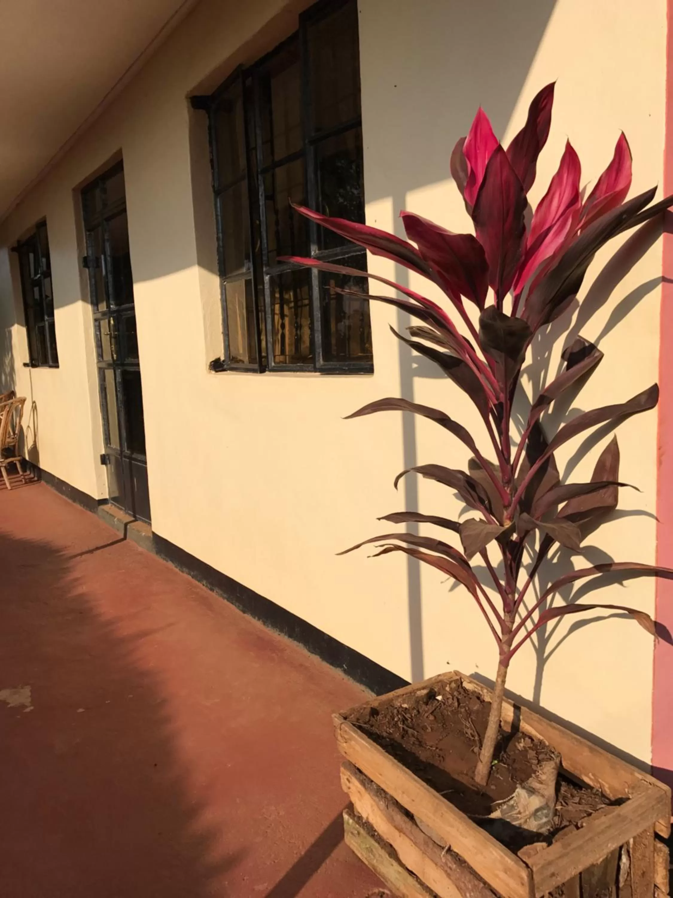 Property building in More Than A Drop