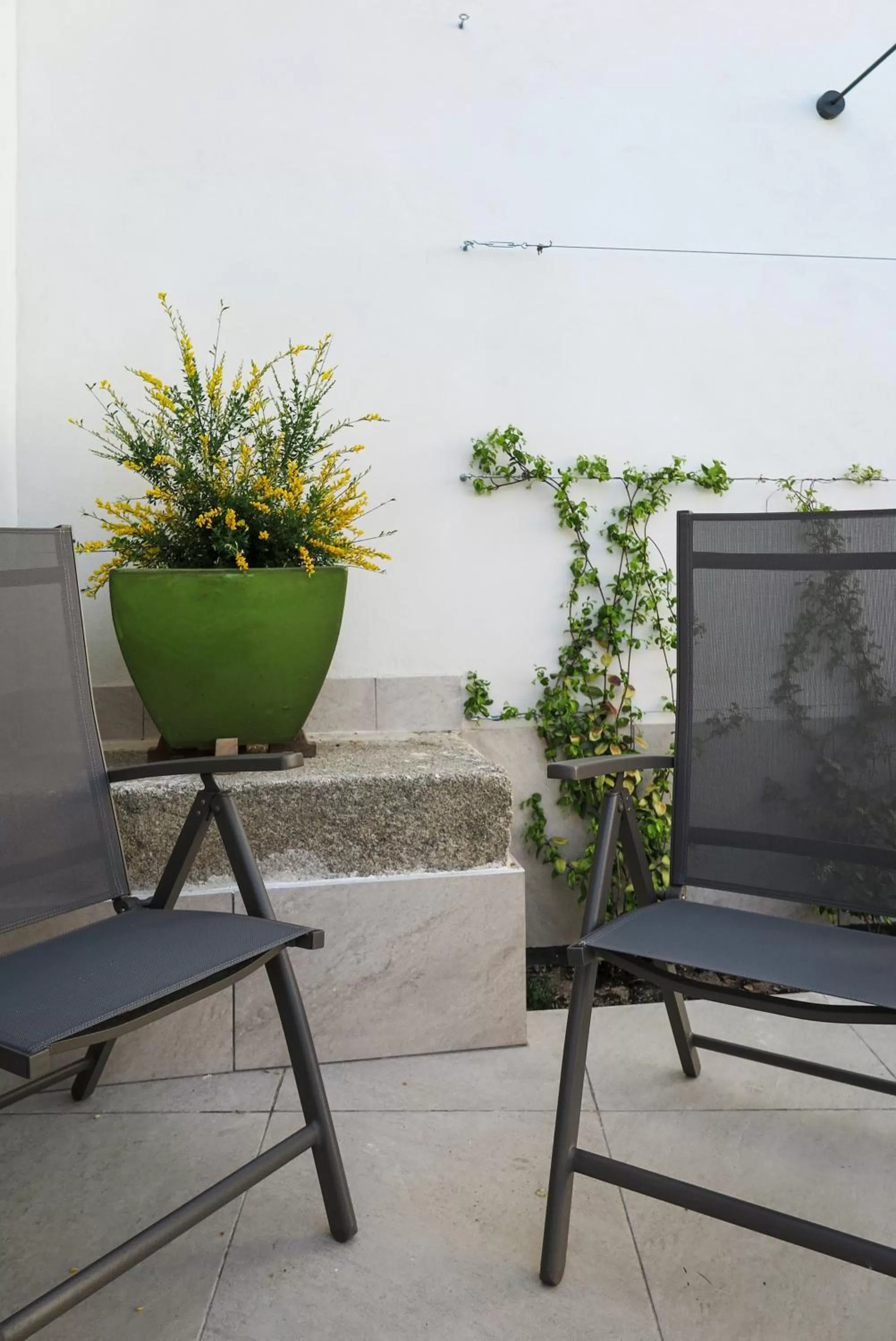 Patio in Tomé, casa de huéspedes