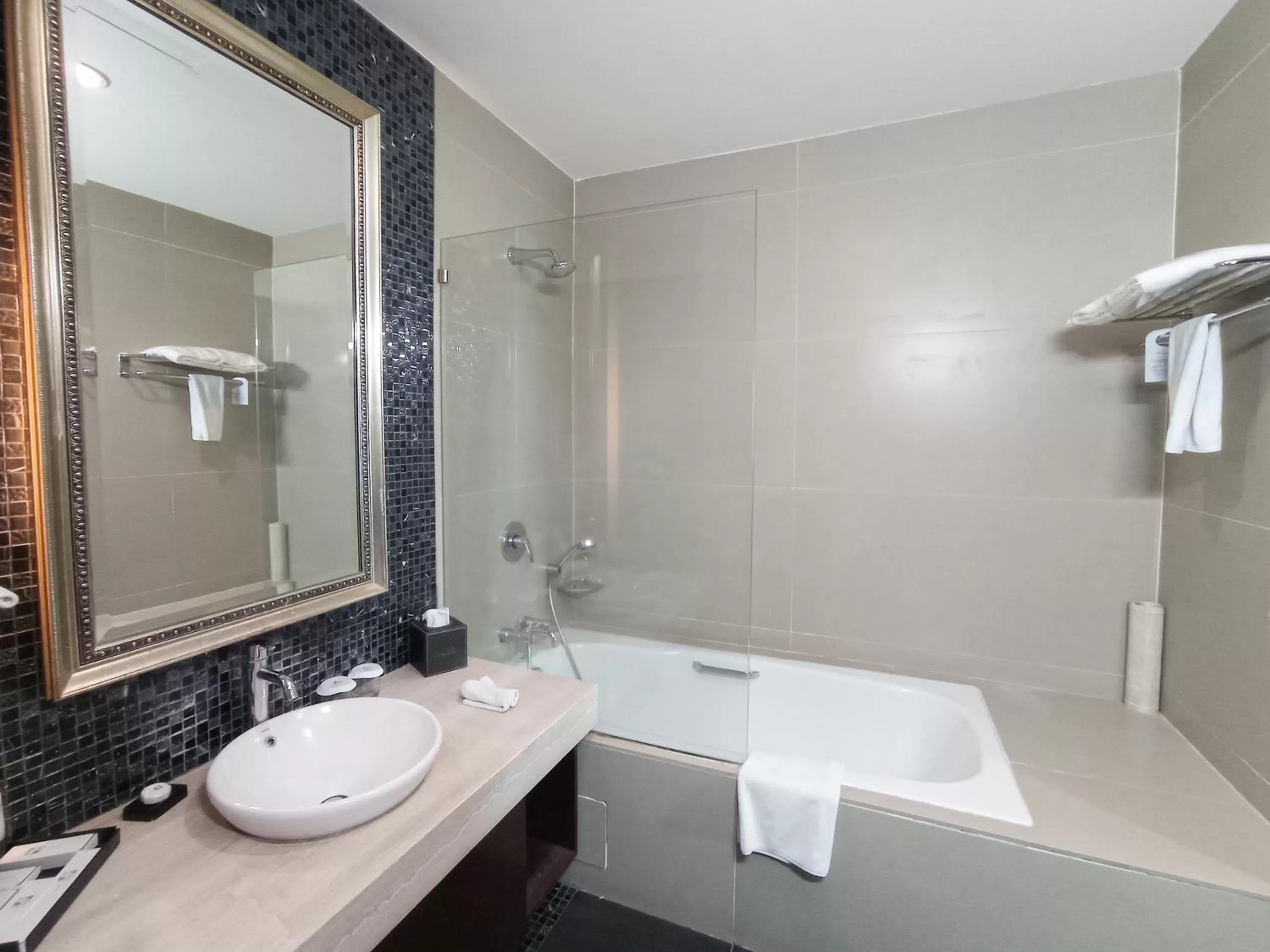 Bathroom in Swiss-Belhotel Ambon