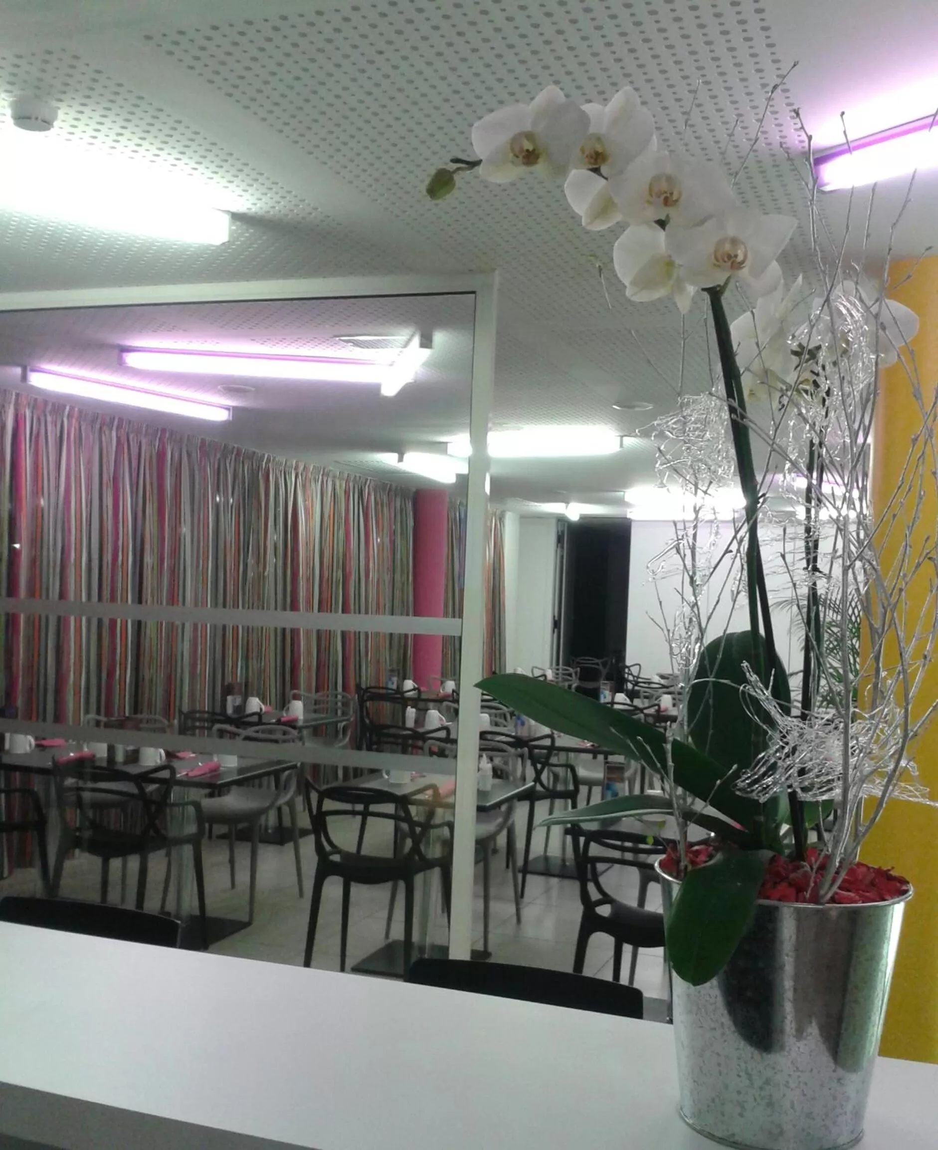 Restaurant/places to eat in Nex Hôtel