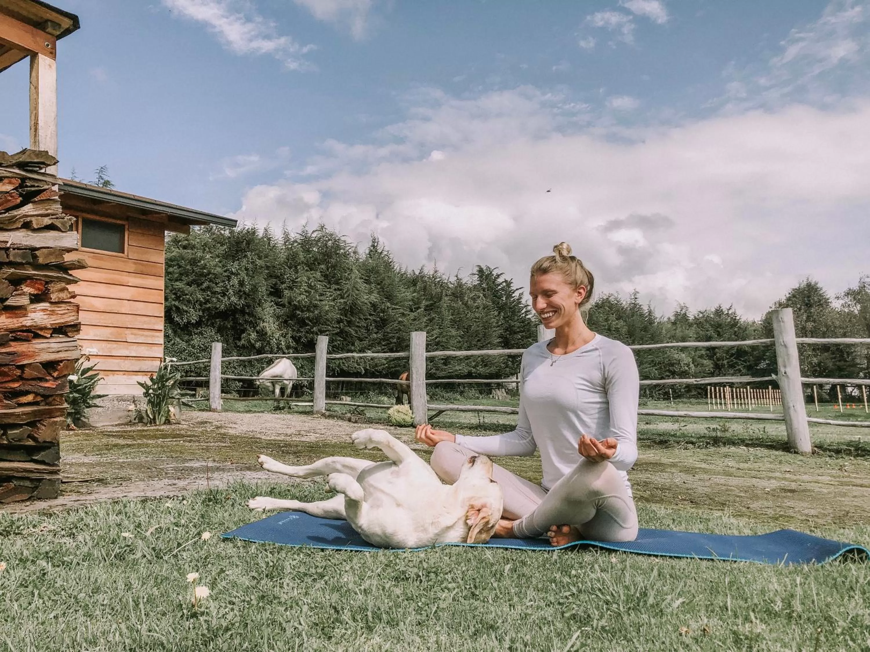 Hosteria Papagayo Cotopaxi