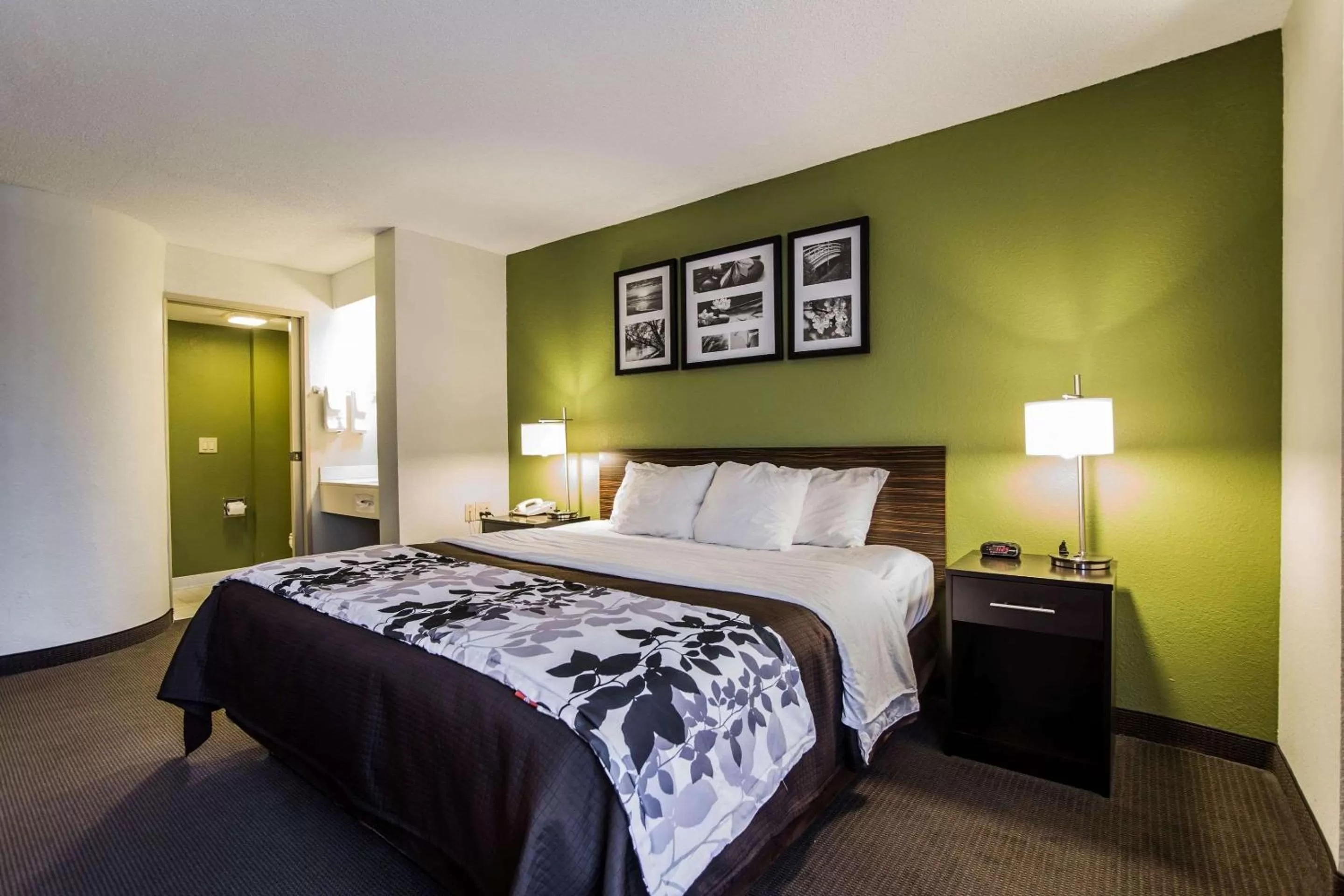 Photo of the whole room, Bed in Sleep Inn Columbia Airport