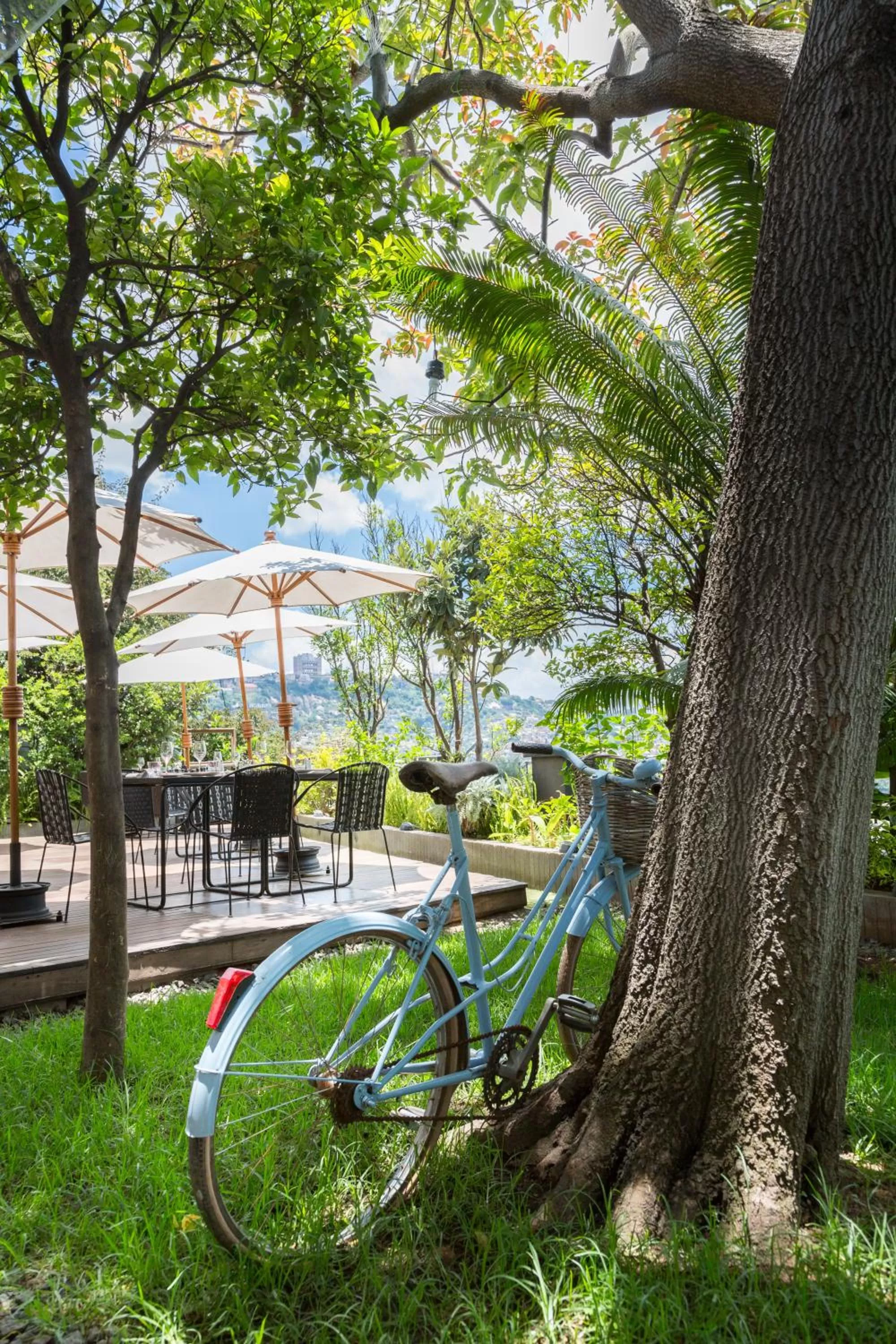 Garden in The Citizen