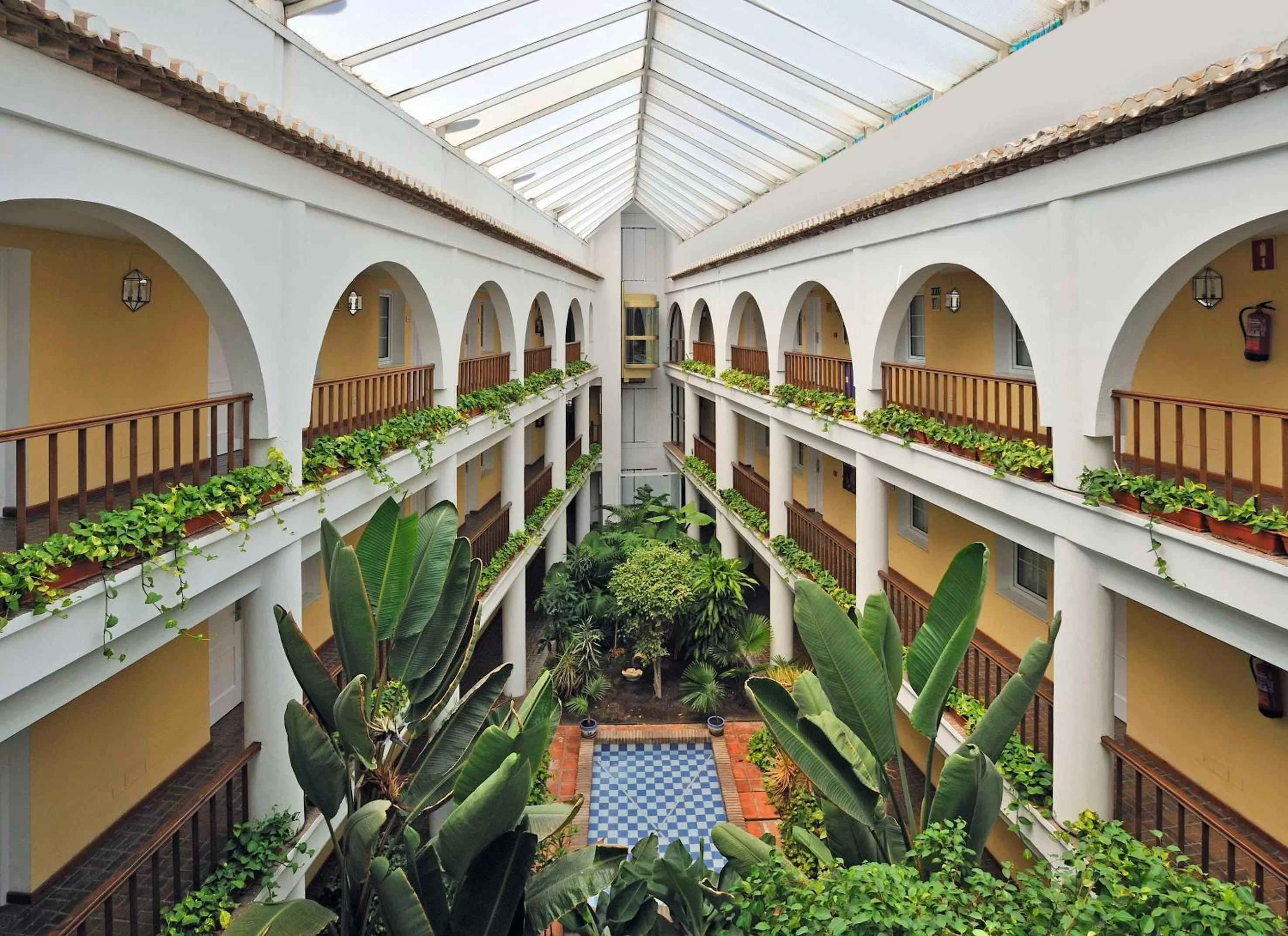 Single Room in Sol Los Fenicios