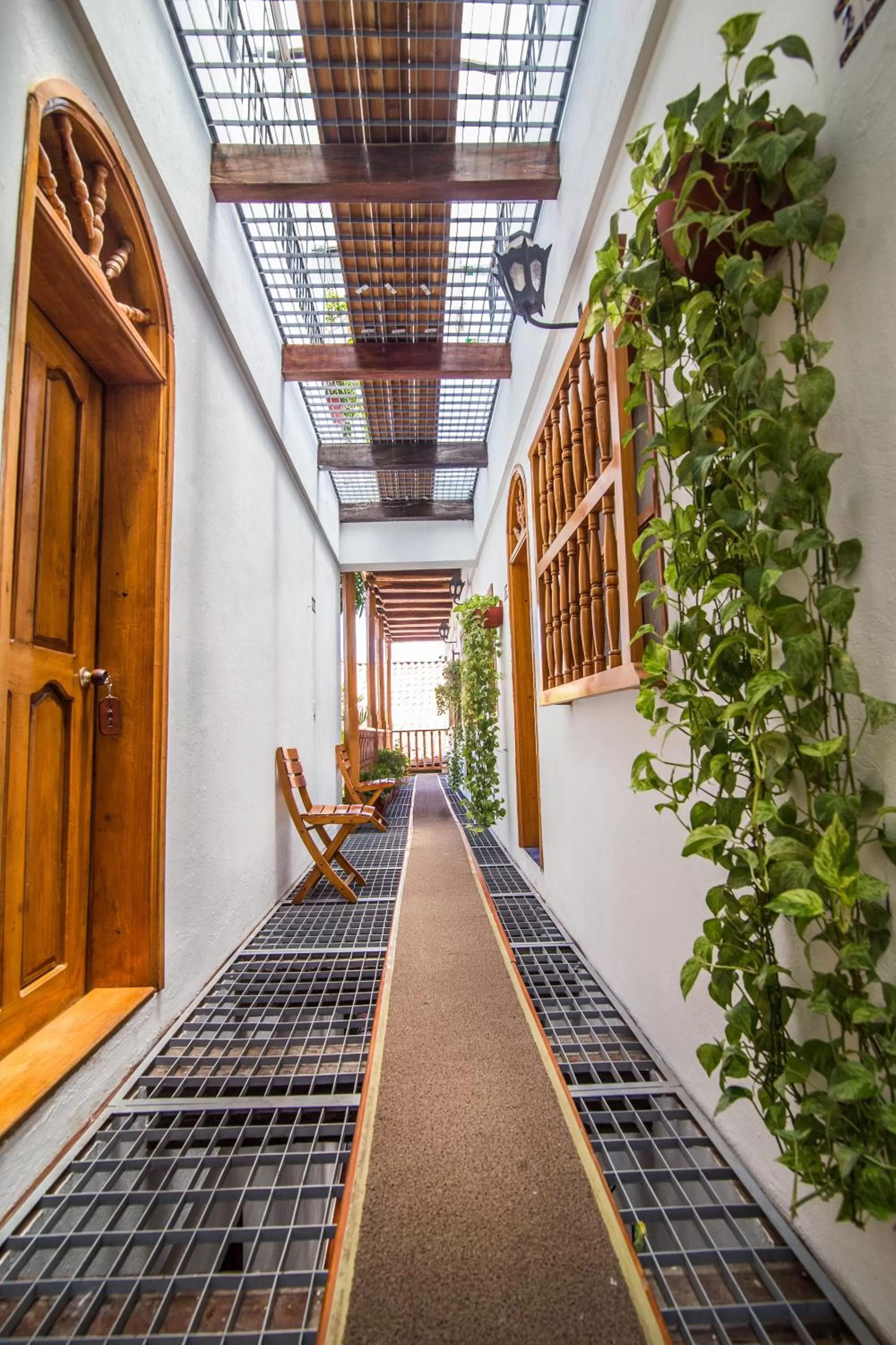 Area and facilities in Hotel 3 Banderas