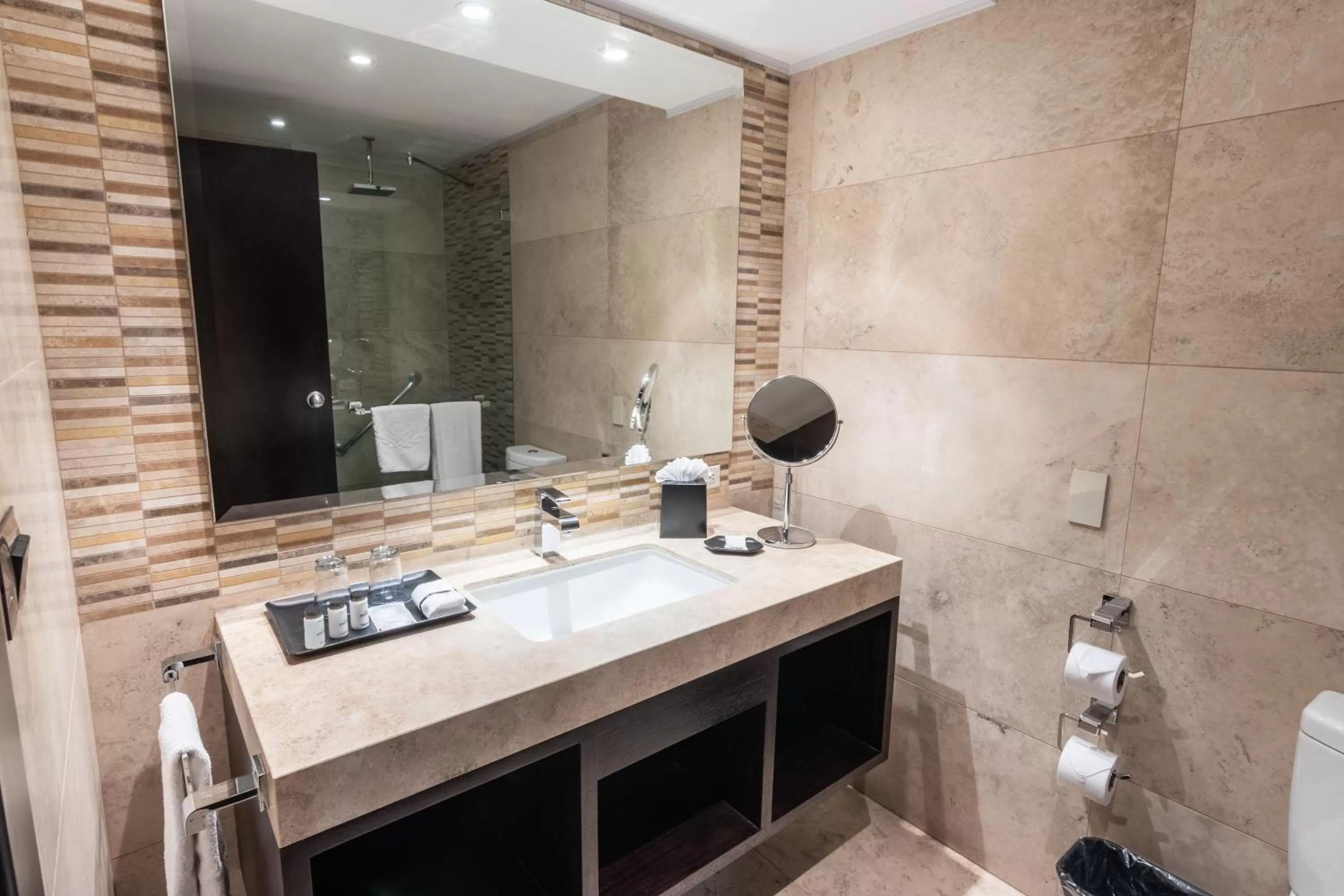 Shower in Sheraton Quito