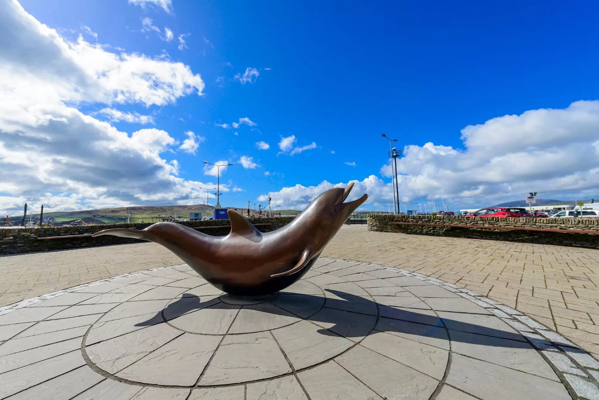 Animals in Dingle Bay Hotel