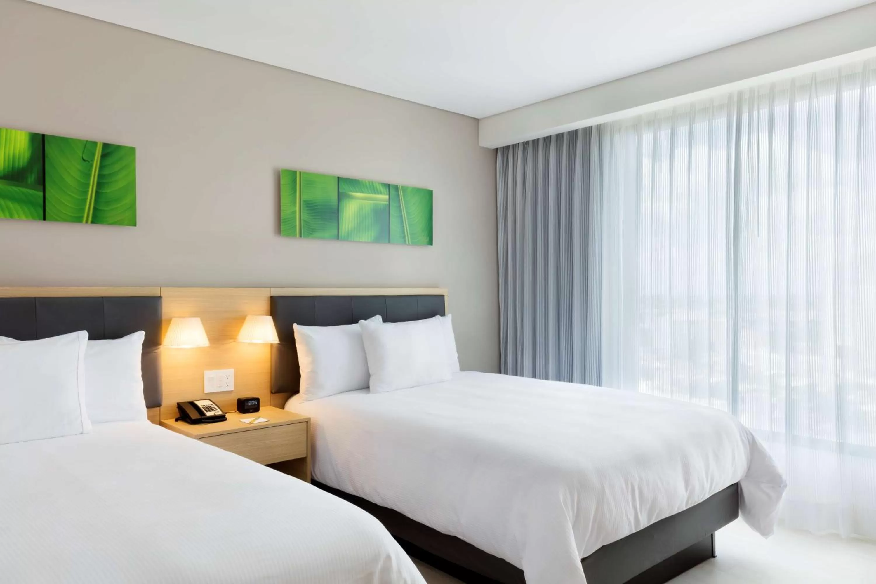 View (from property/room) in Hilton Garden Inn Merida