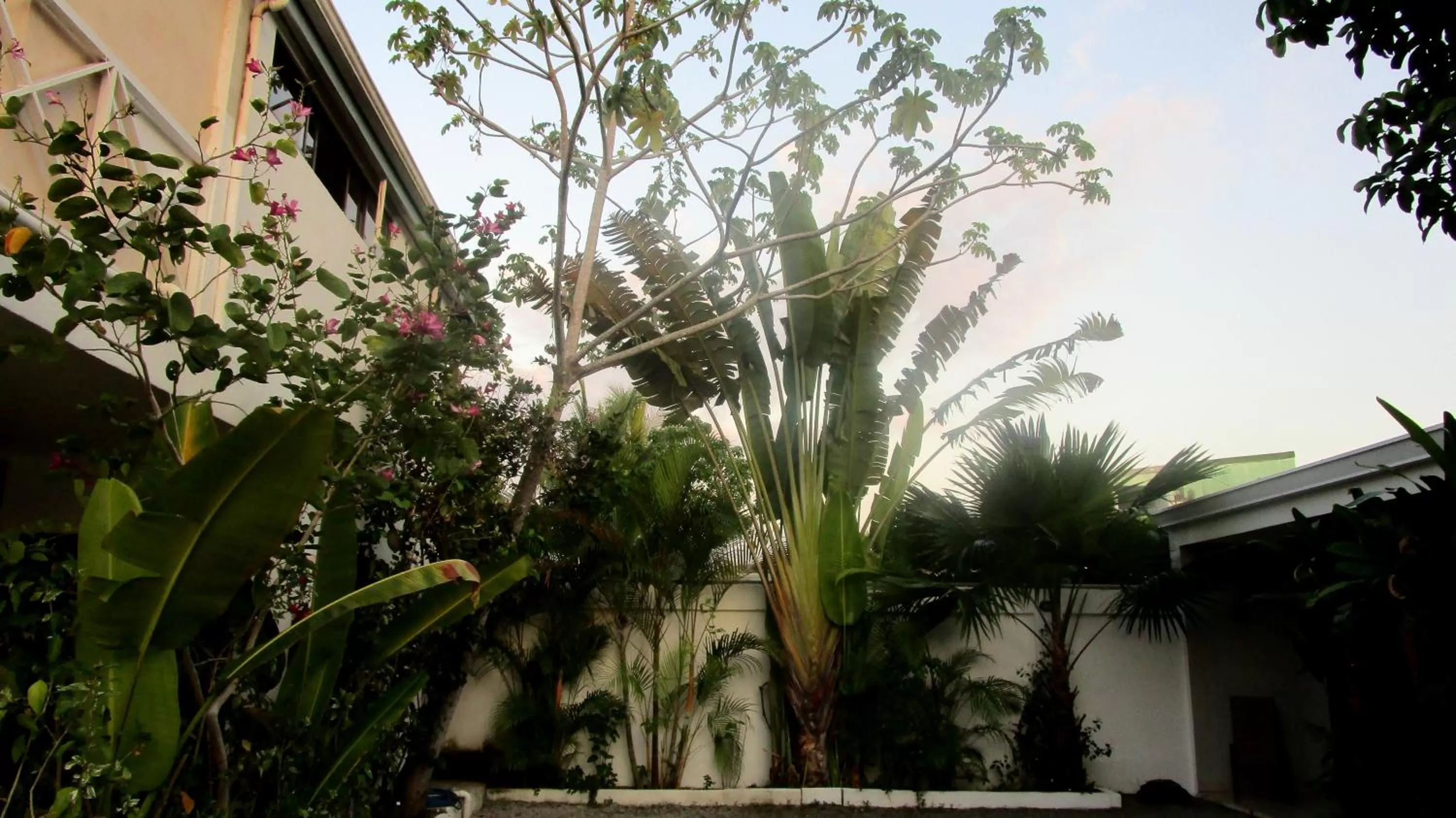 Garden in Sueño Tranquilo