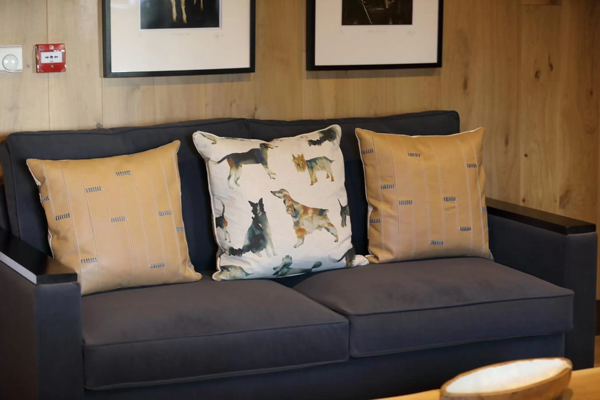 Other in The Jack Russell