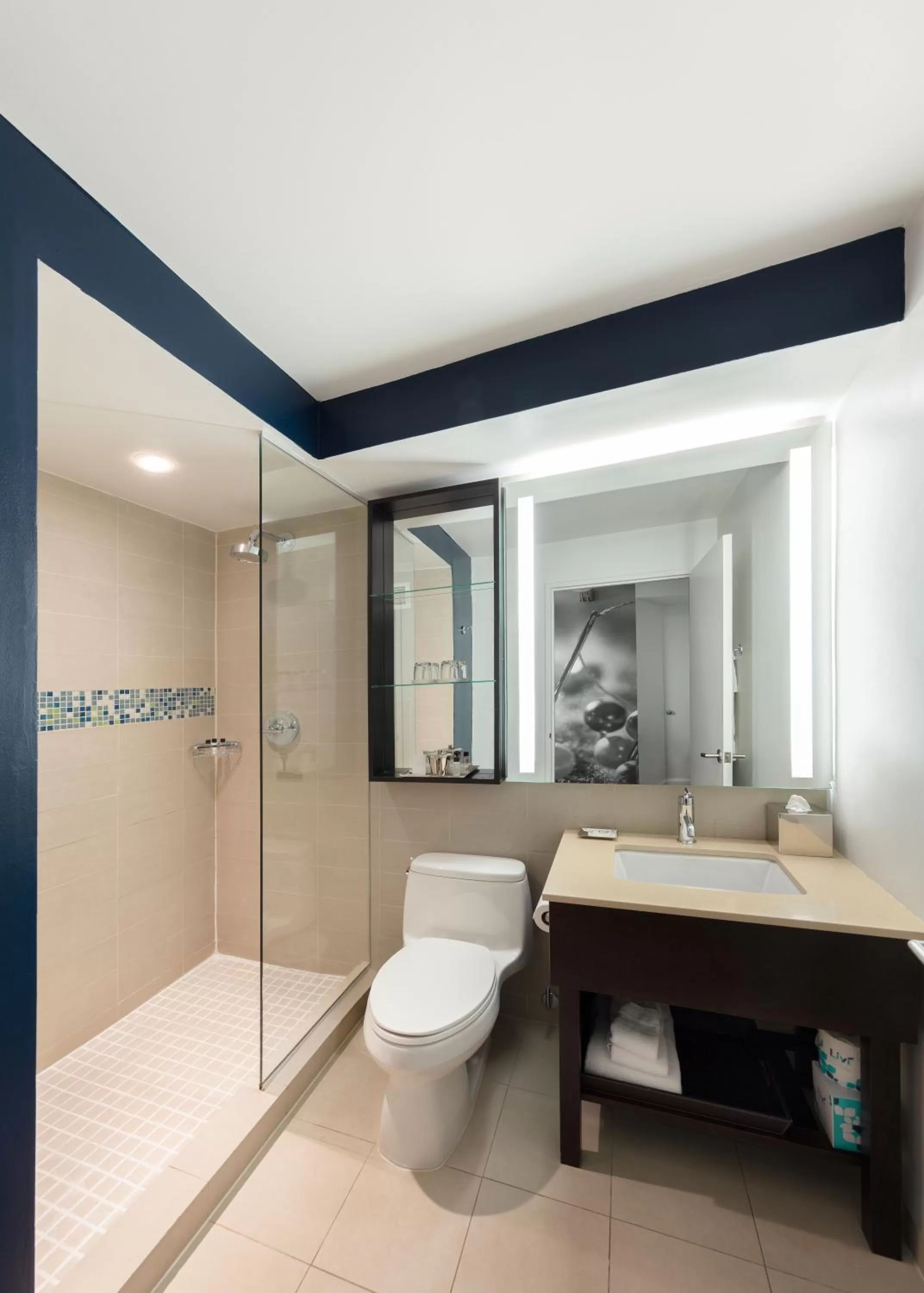 Bathroom in Hotel Hayden New York