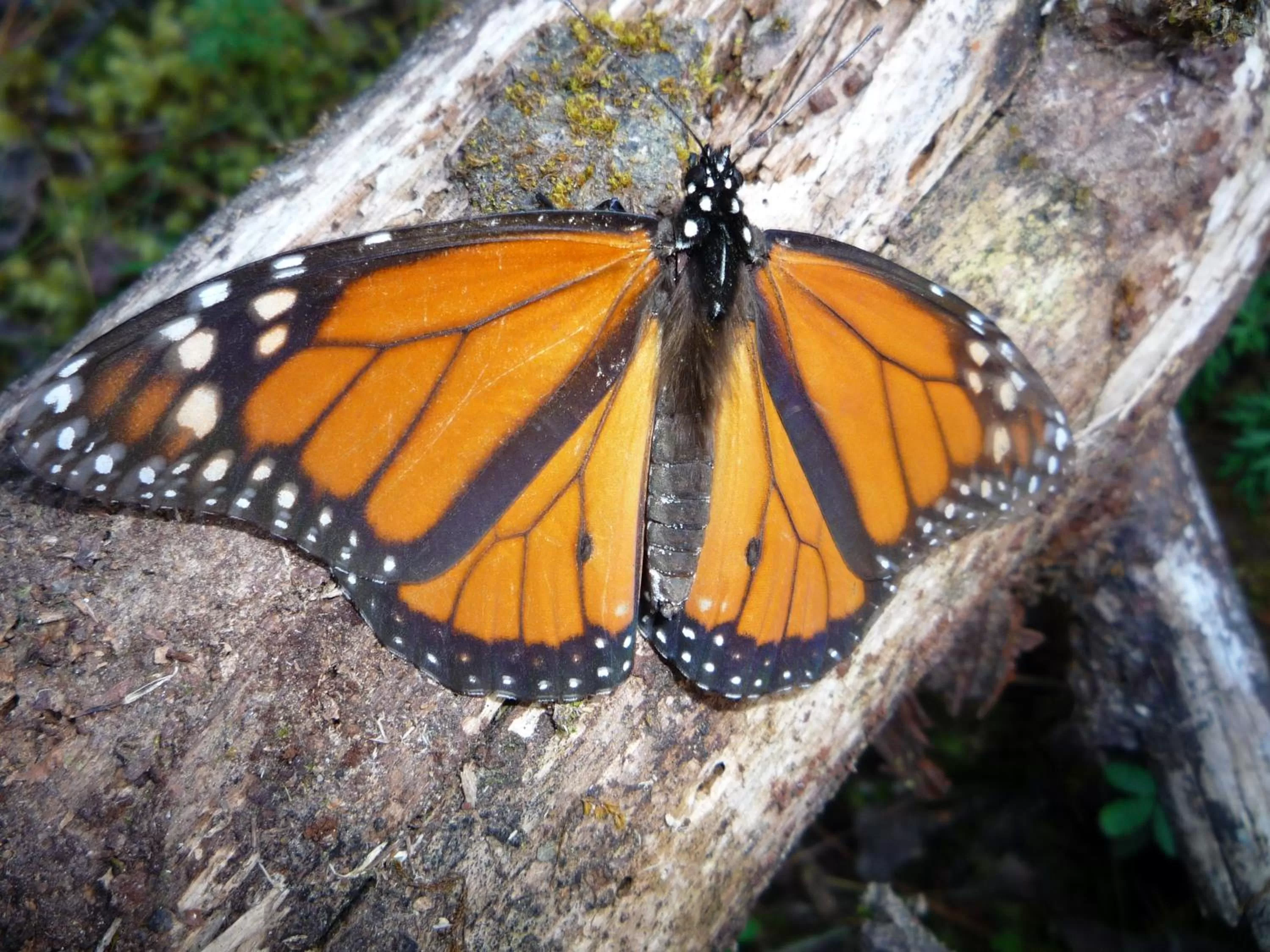 Other in Hotel Rancho San Cayetano