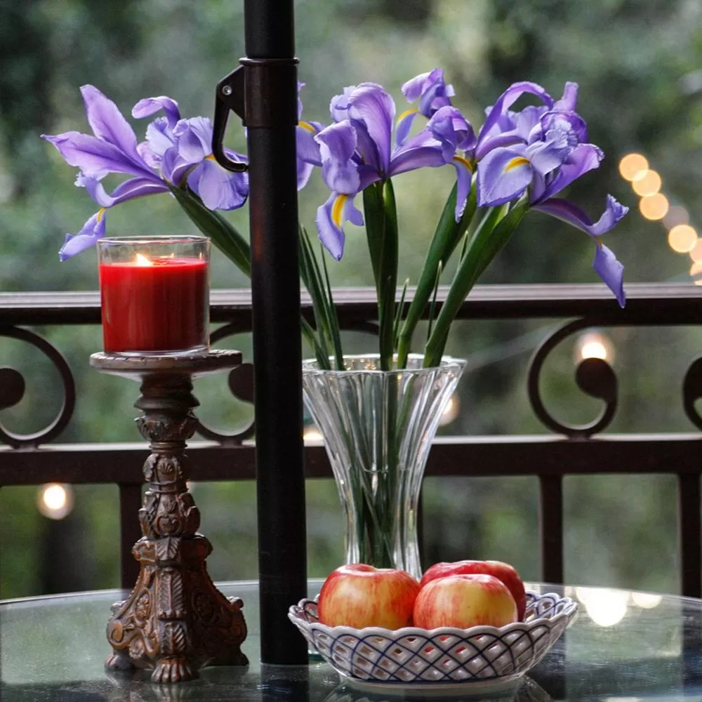 Balcony/Terrace, Food in Bella Vista Bed and Breakfast