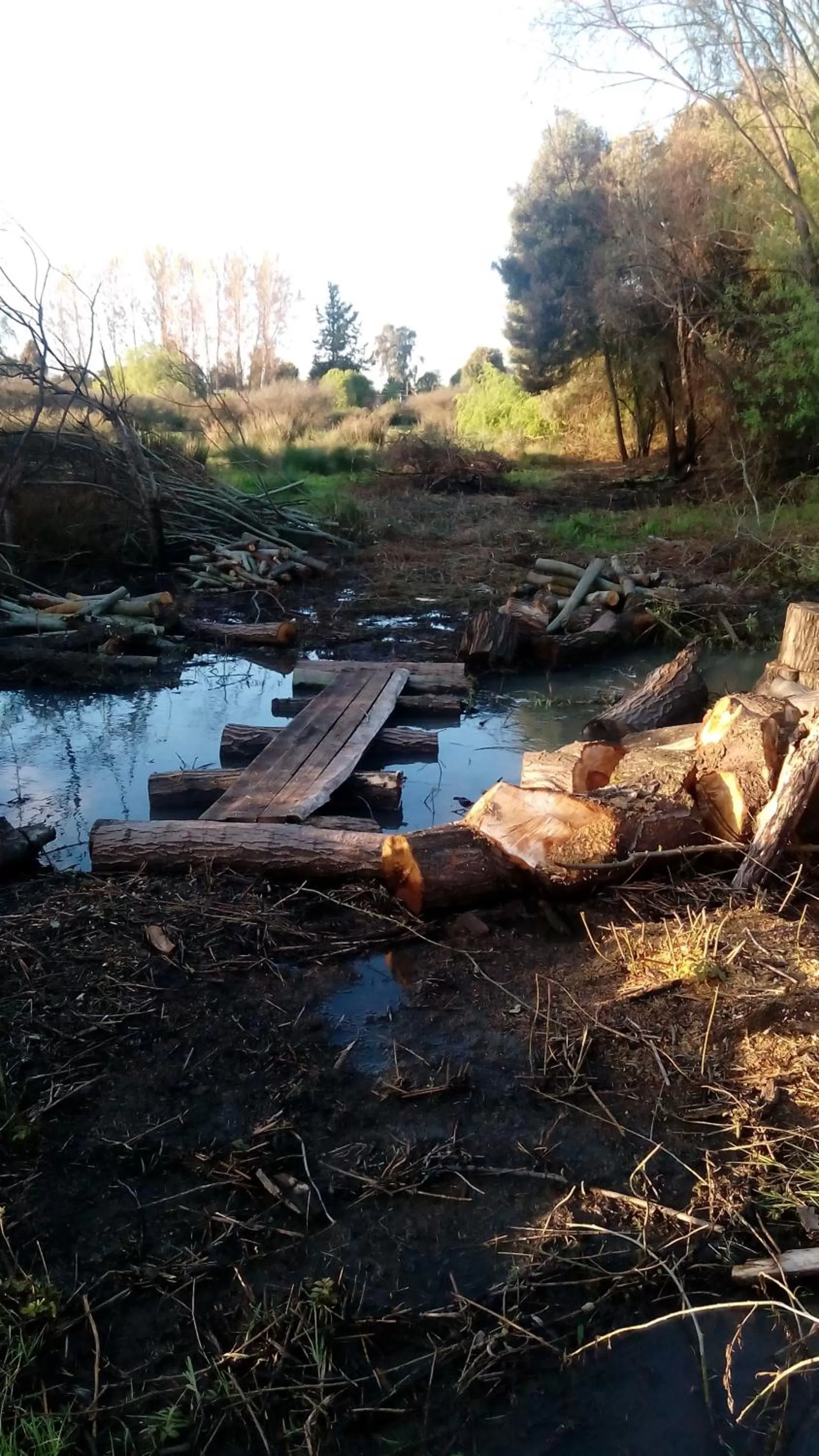 Hiking in La Casa de Adobe Natural y Más
