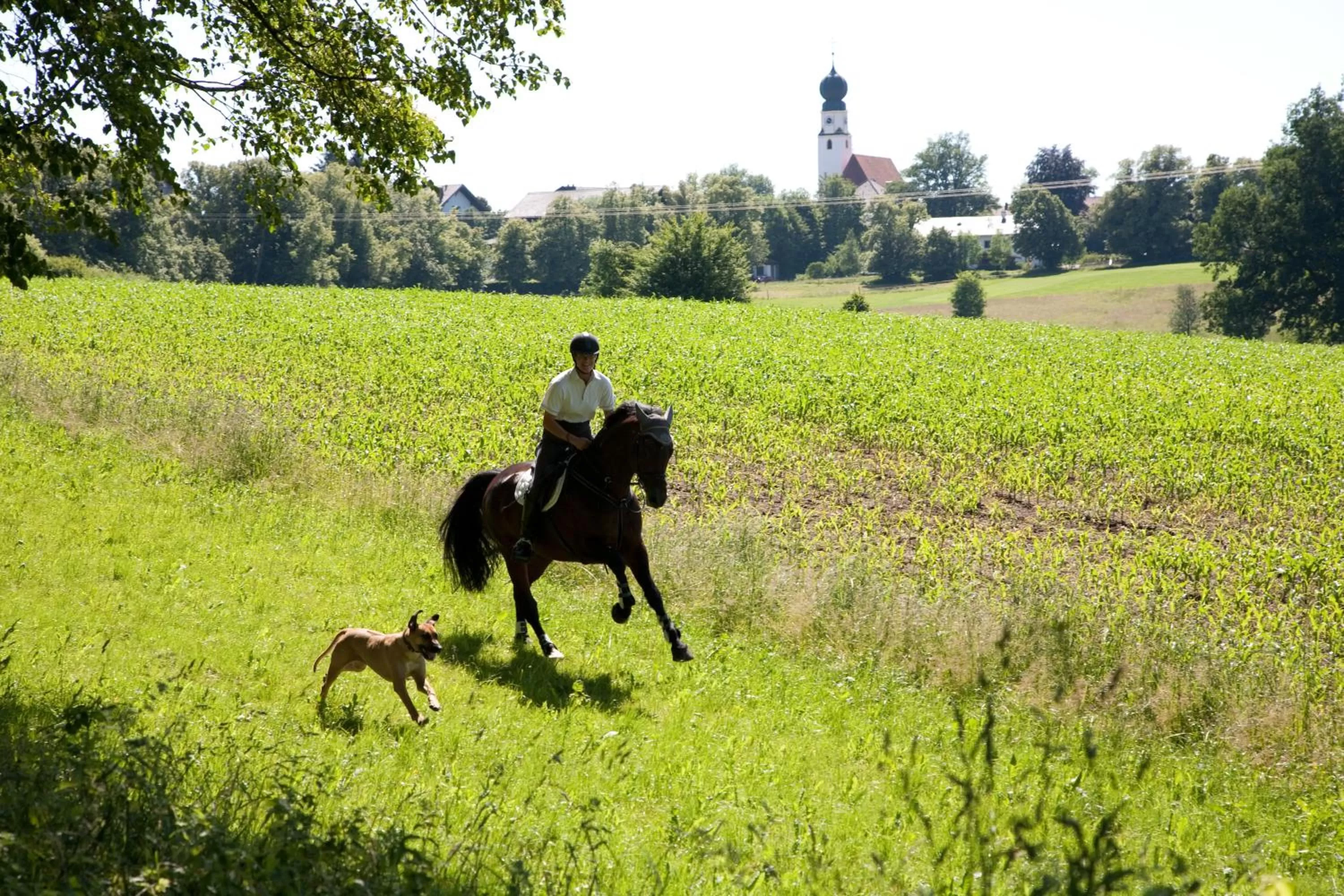 Horse-riding in Hotel Gut Ising