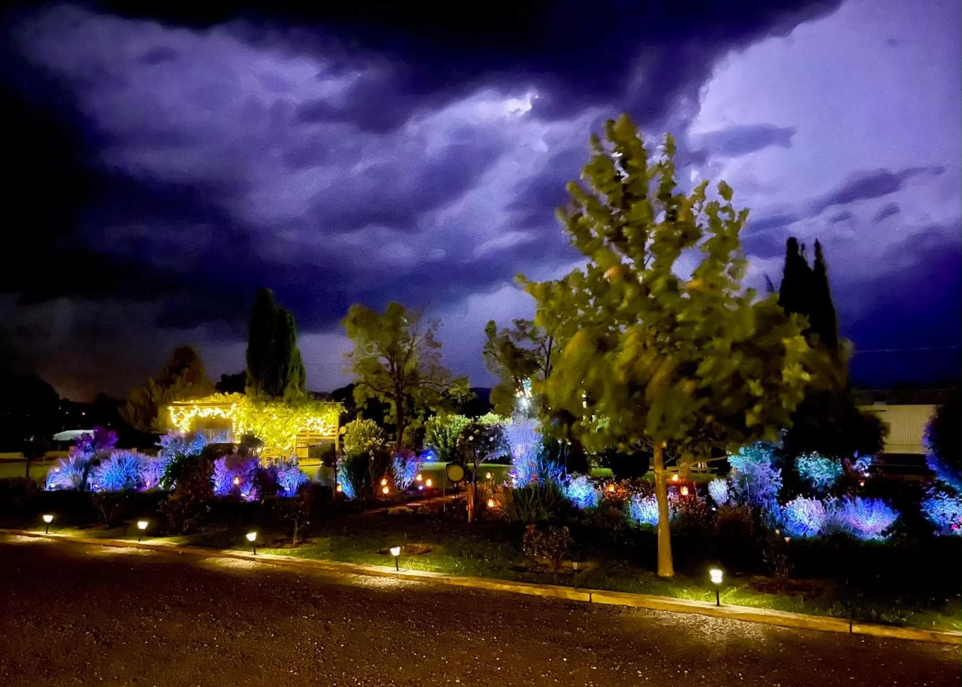 Garden in Quirindi Sunflower Motor Inn