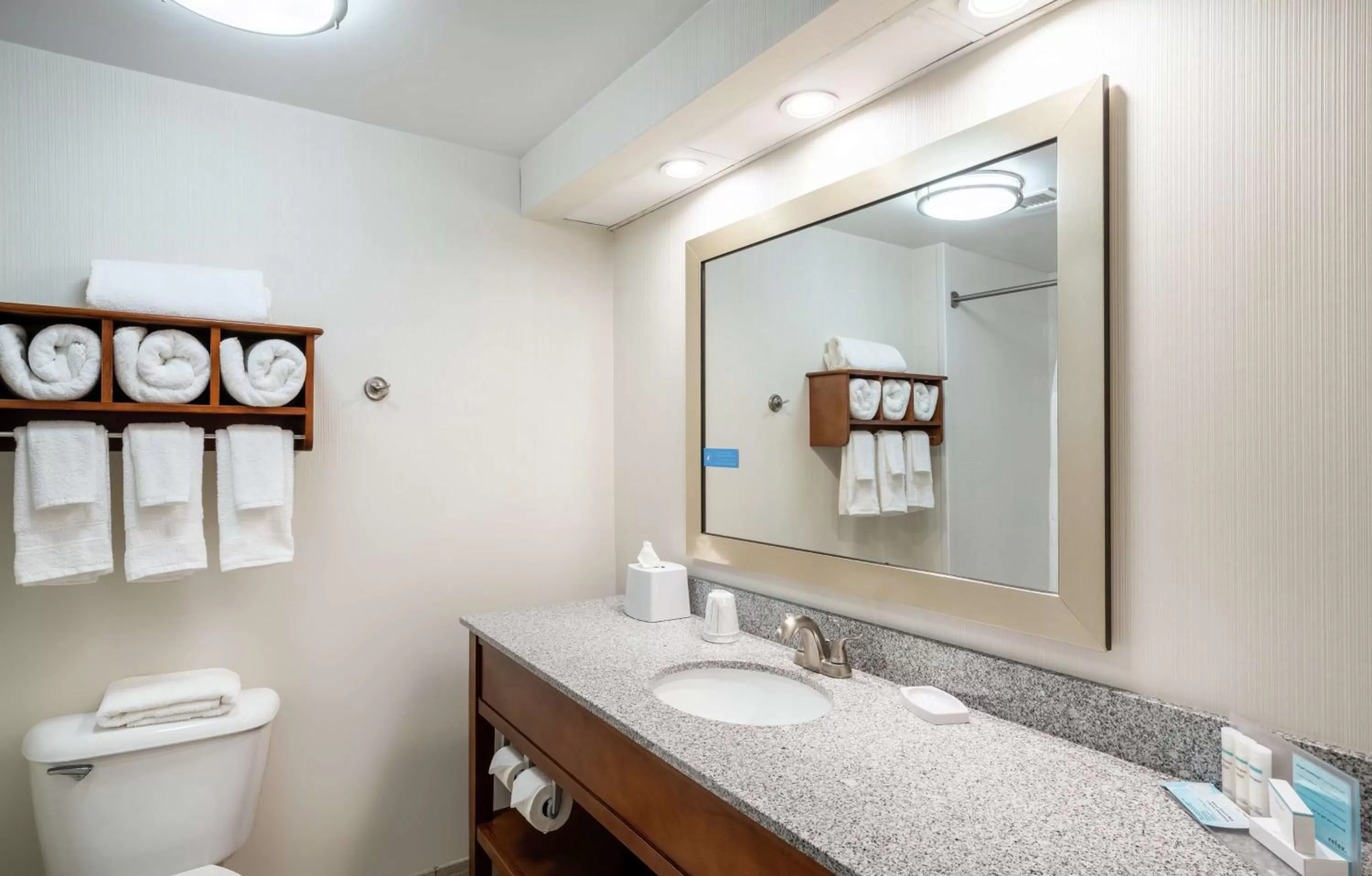 Bathroom in Hampton Inn & Suites Mooresville