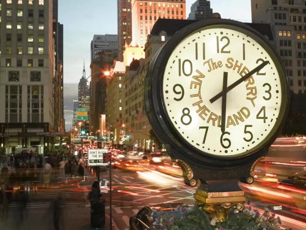 Area and facilities in The Sherry Netherland