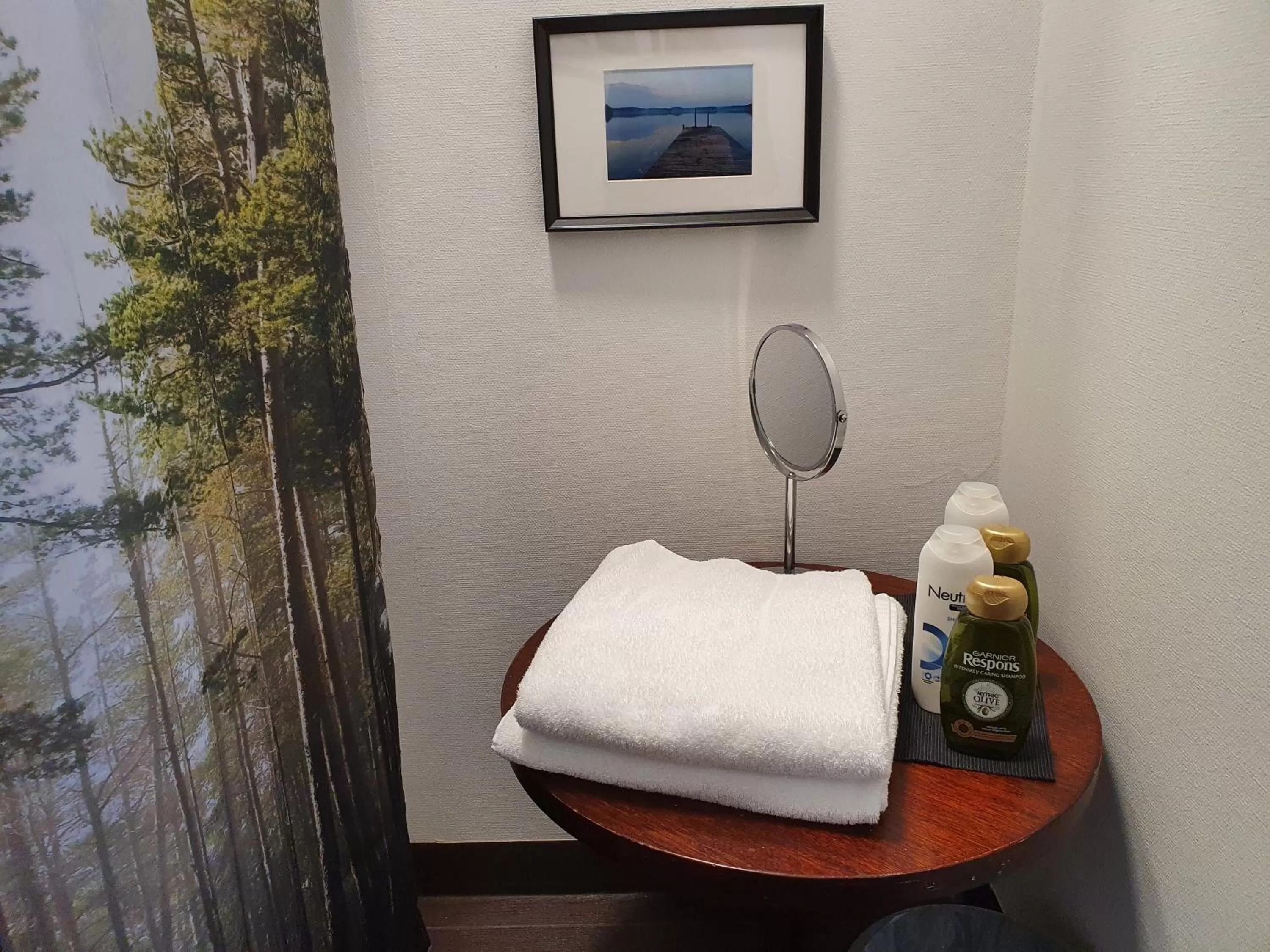 Shower in Brukshotellet Skinnsberg